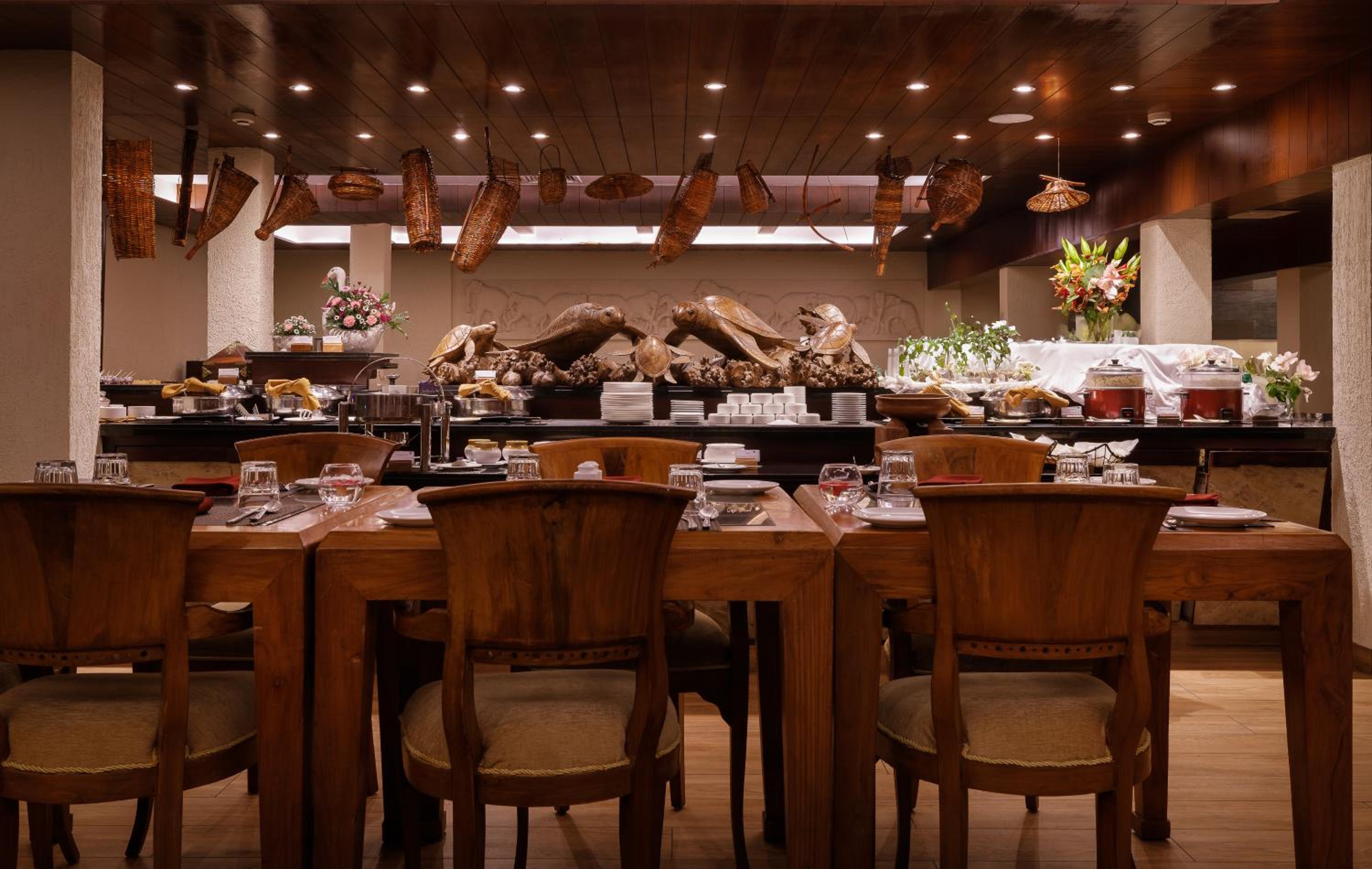 Turtle Signature Suite