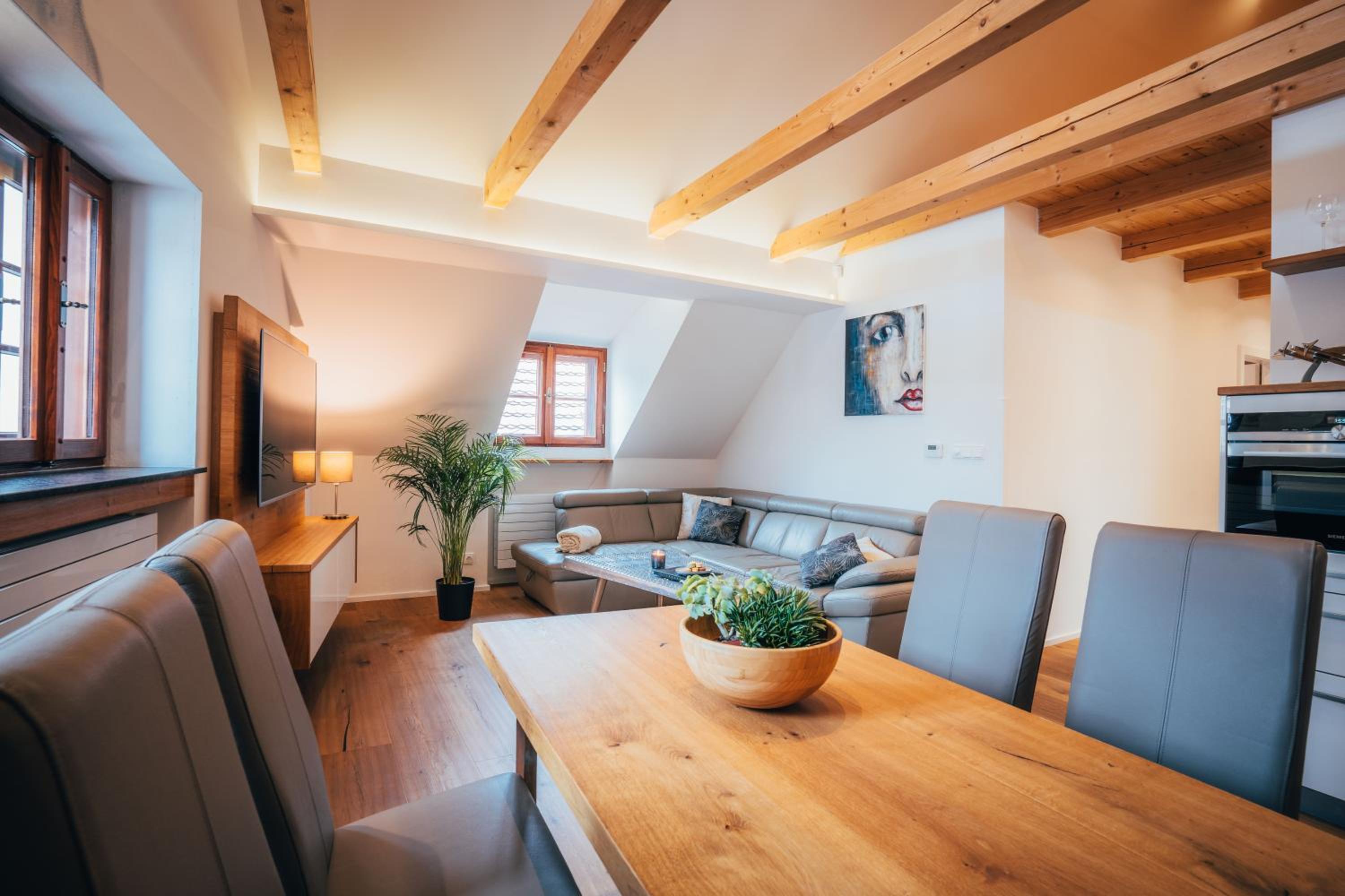 Luxury Apartment