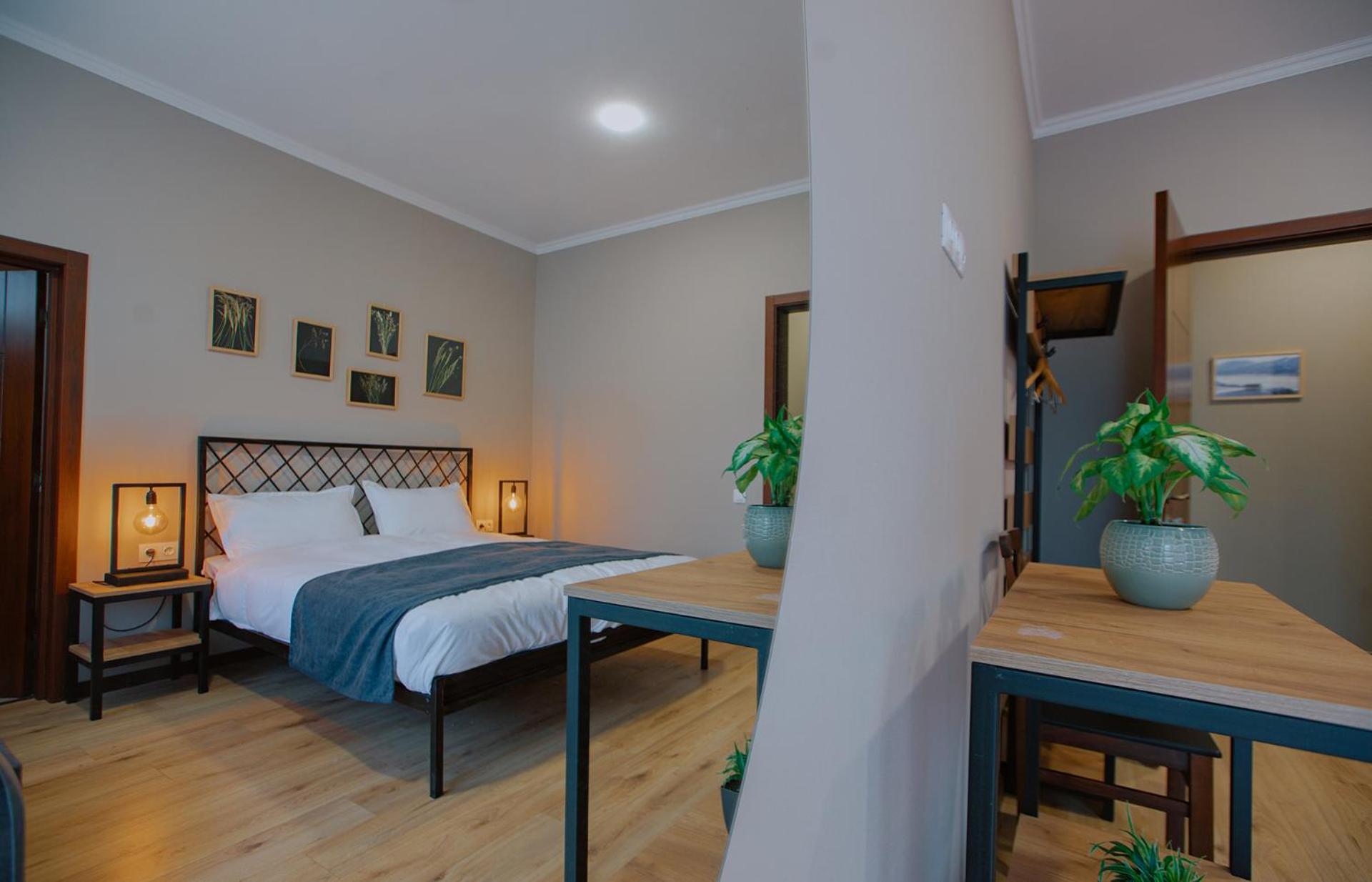 Double Room with Mountain View