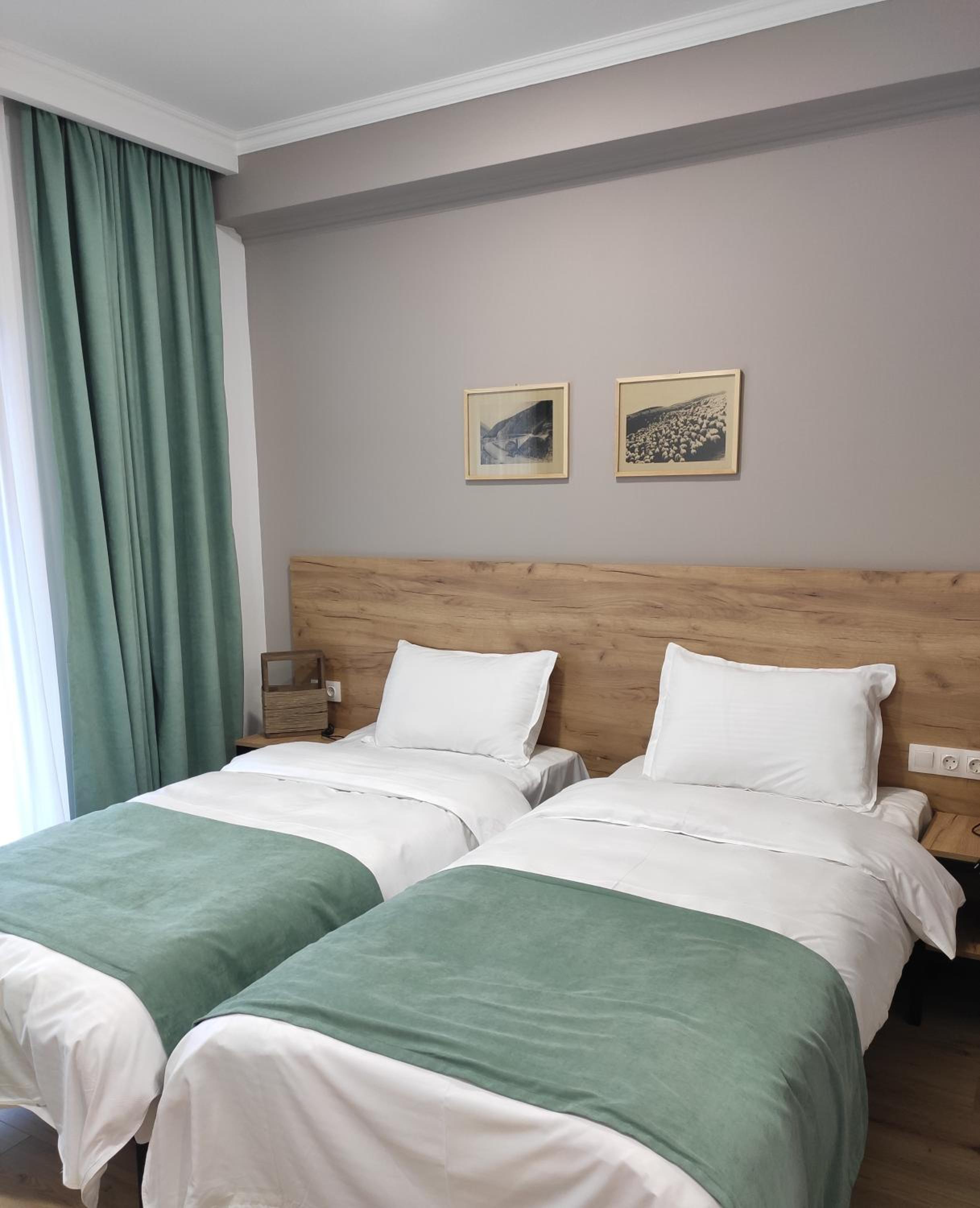 Twin Room with Back Mountain View