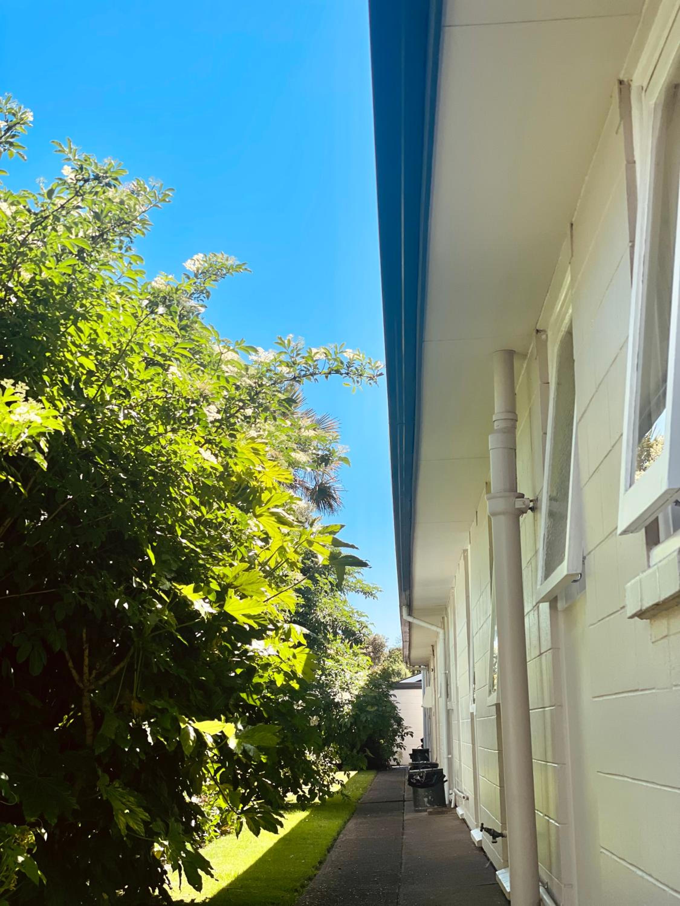 Two-Bedroom Family Apartment