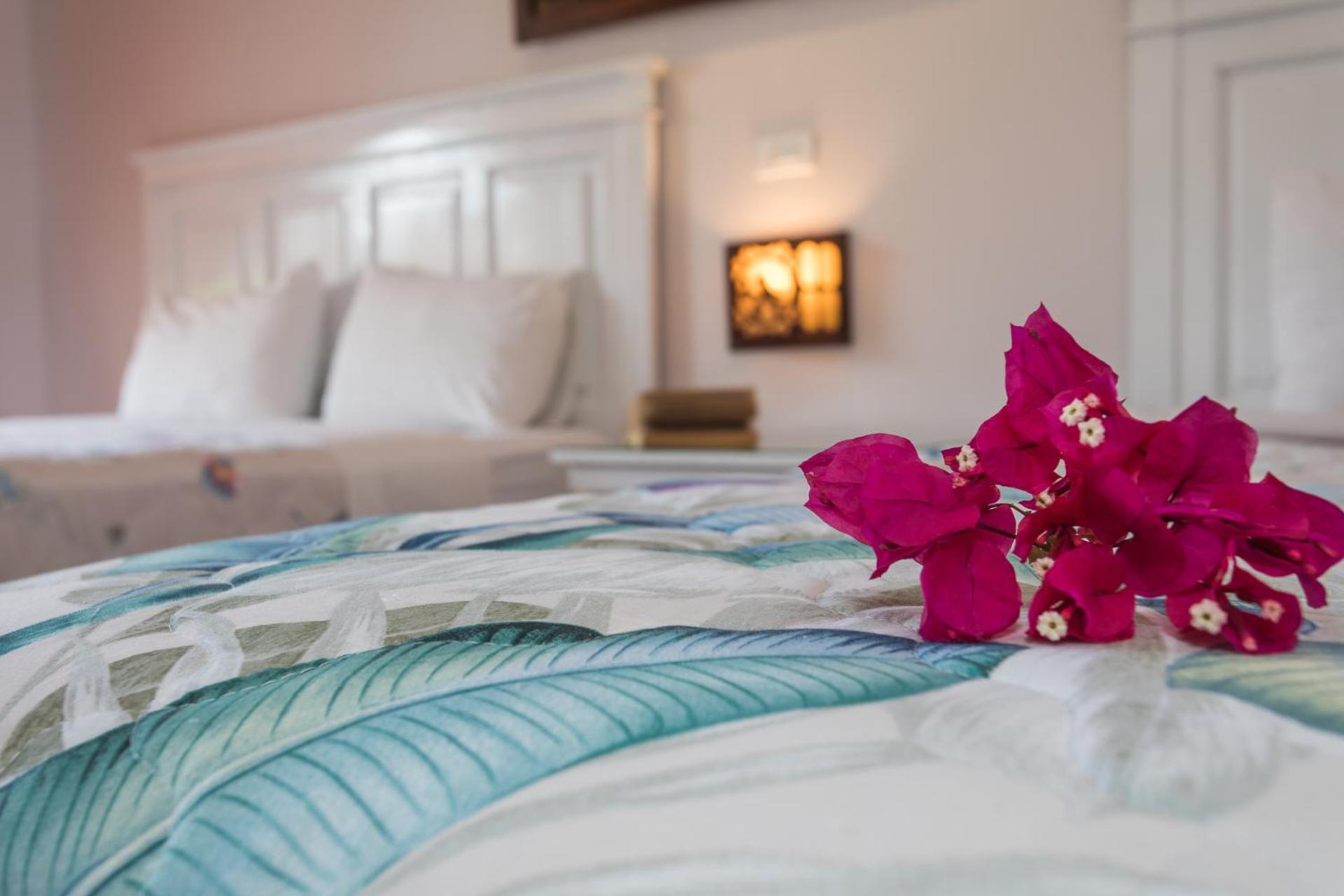 Triple Superior Garden  And Pool View