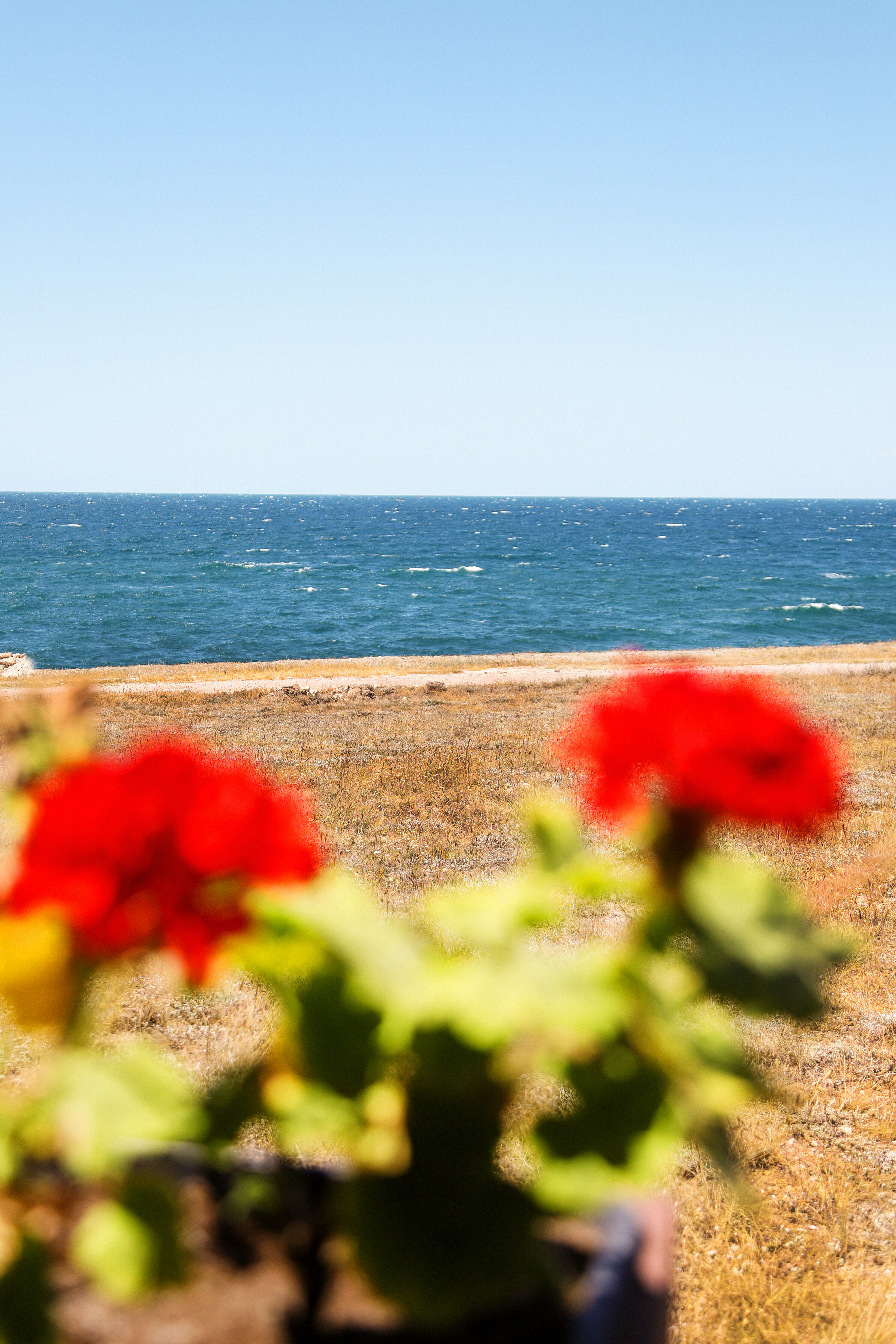 Трехместный номер с видом на море