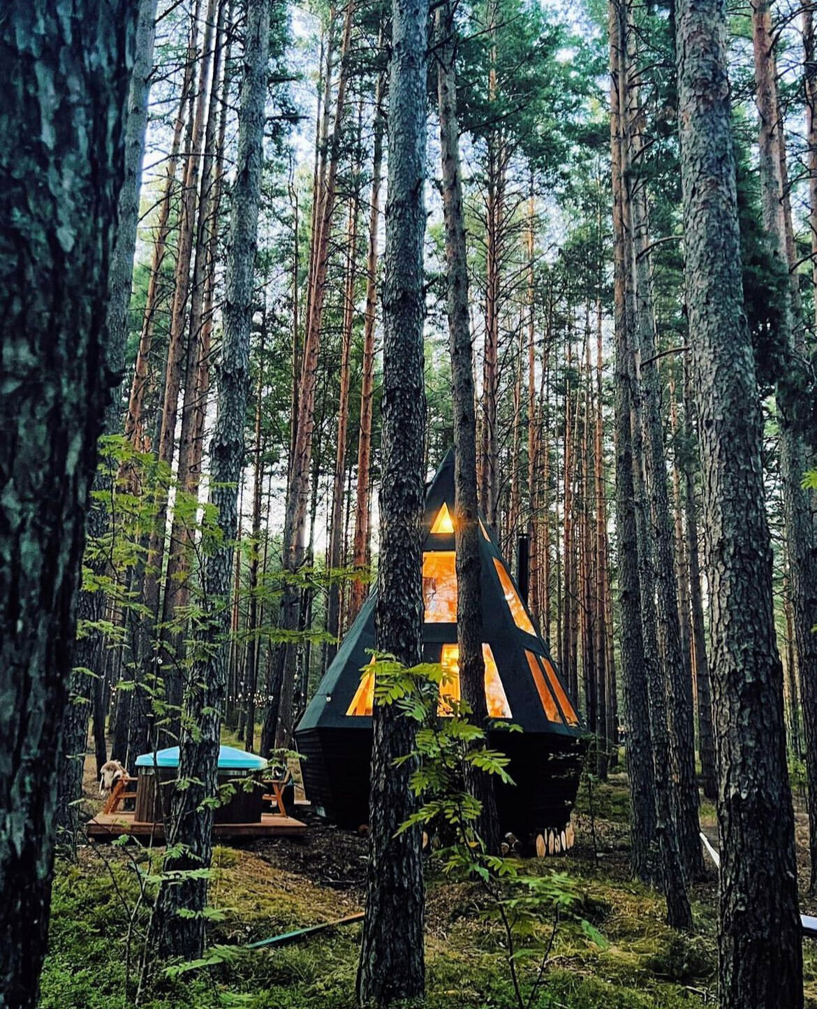 Дом Хижина 1