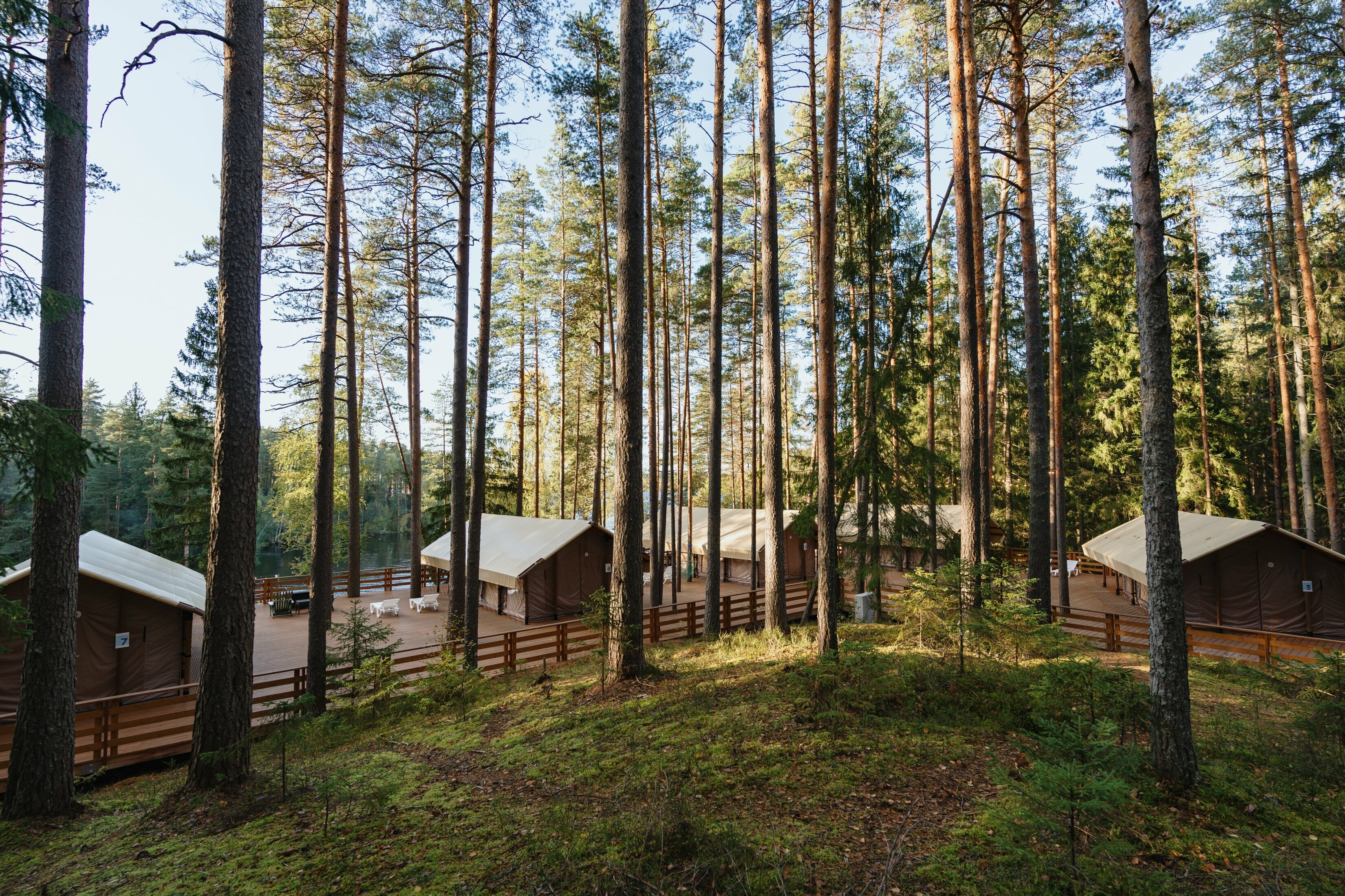 Лодж на холме с видом на лес