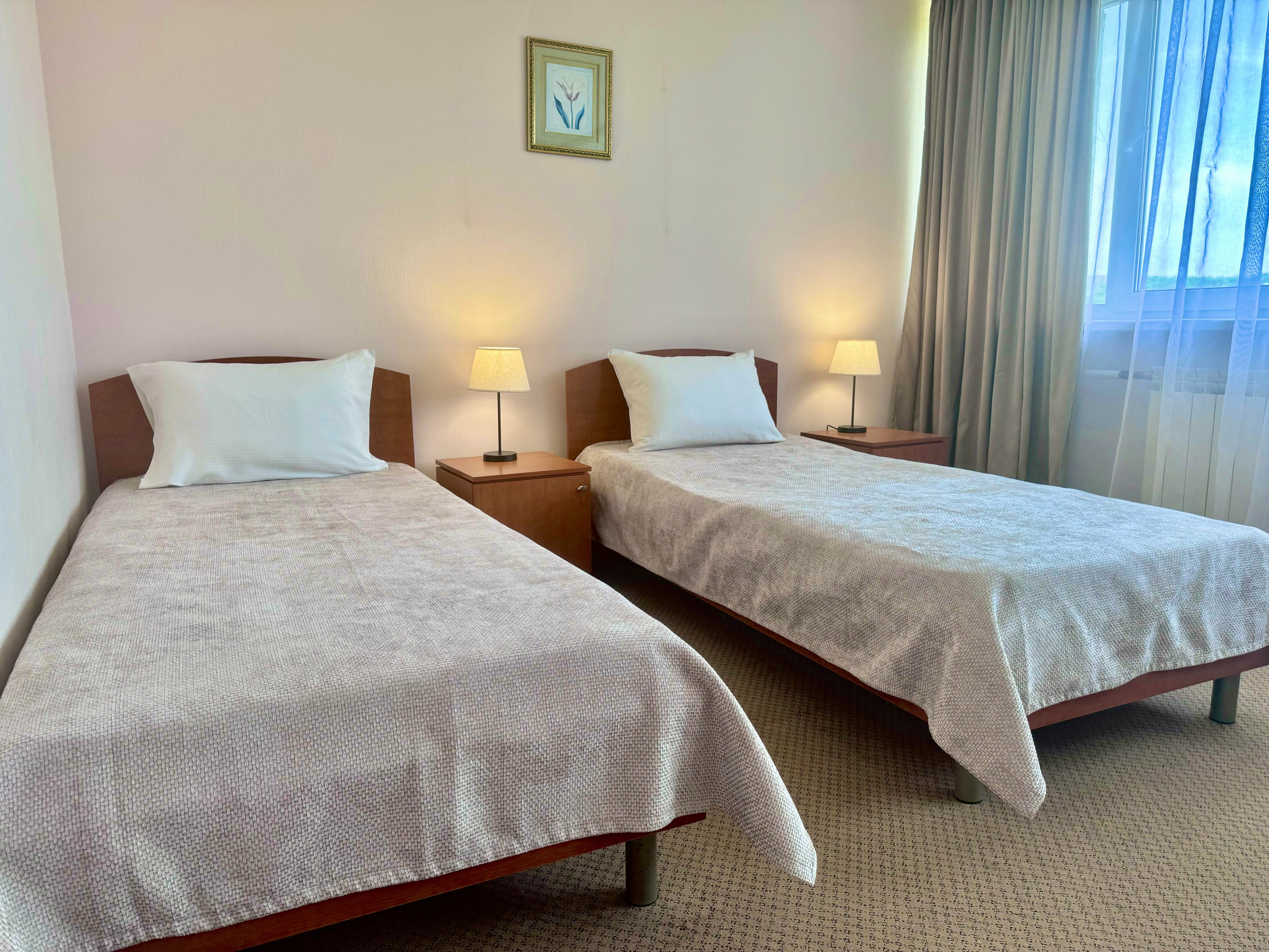 Двухместный номер Делюкс с 2 отдельными кроватями