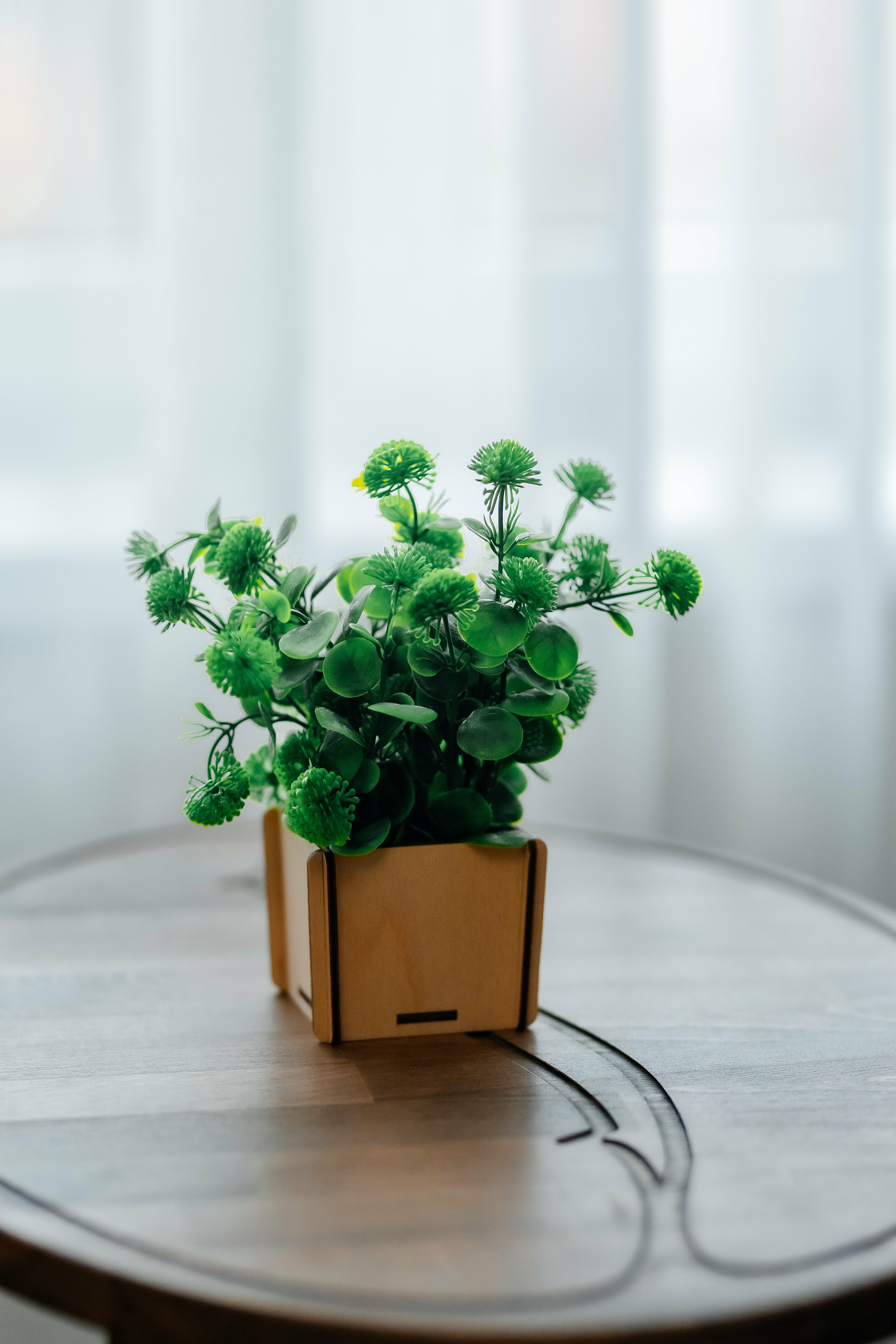 Люкс с террасой