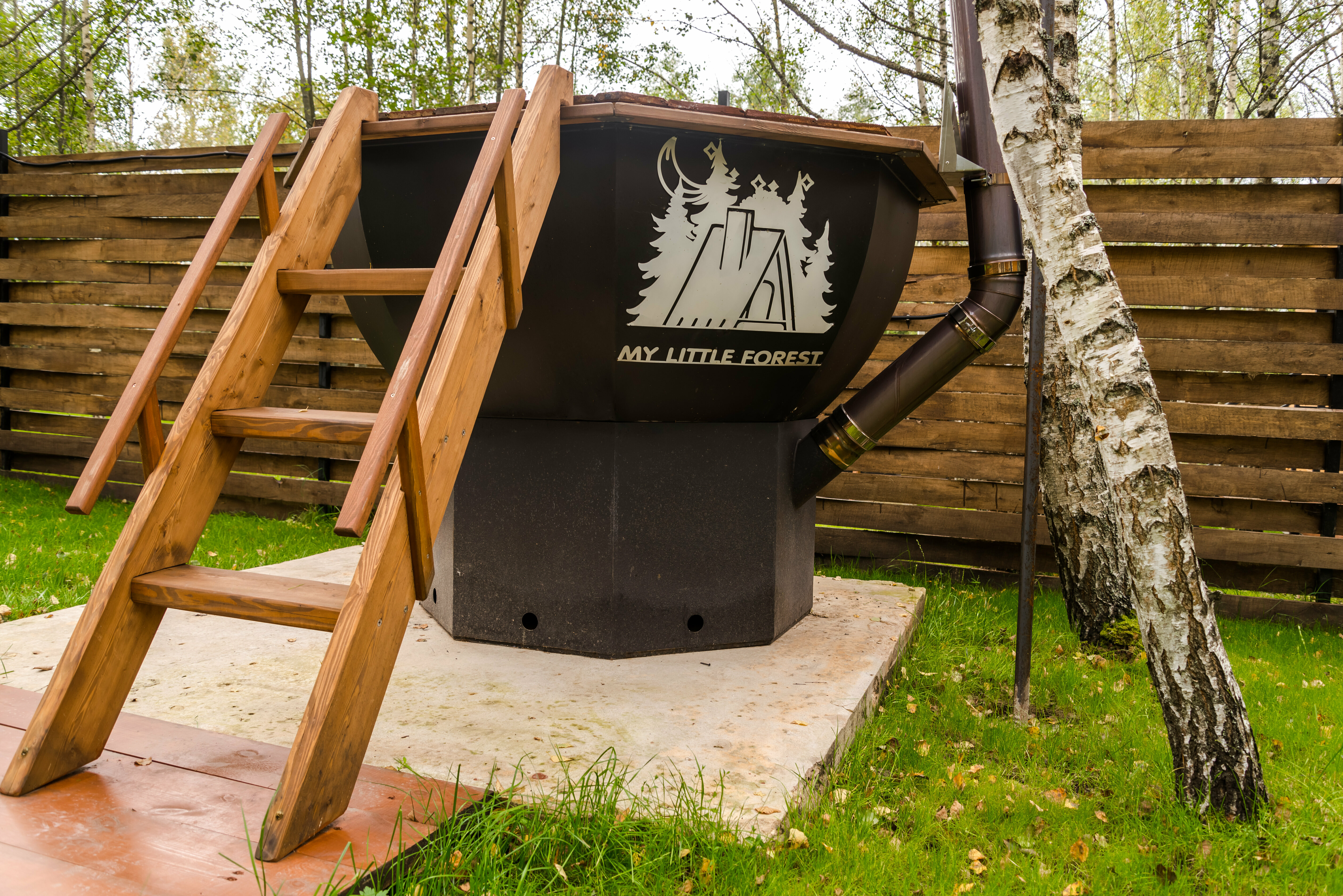 Дом с видом на лес