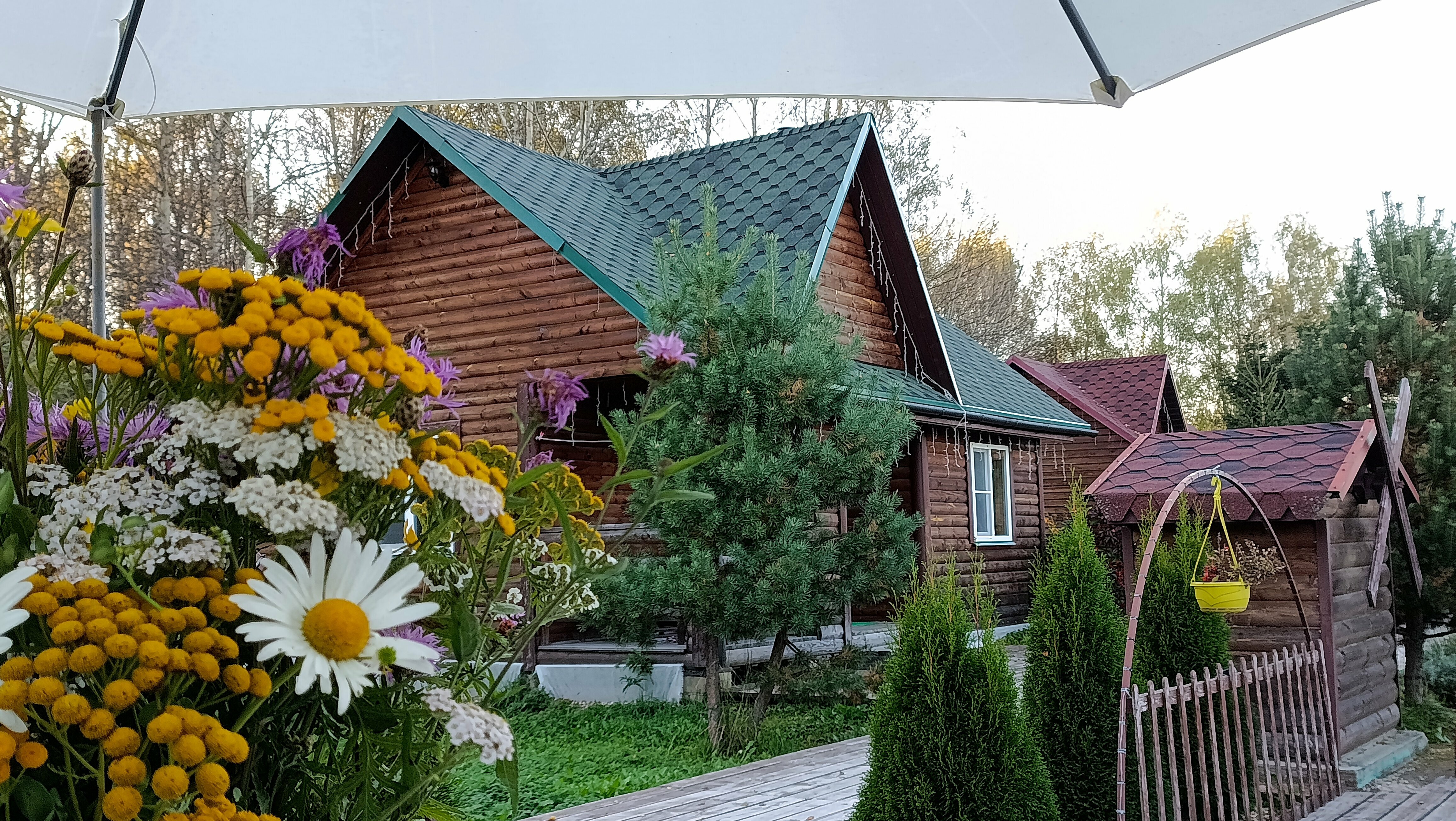 Семейный номер с террасой