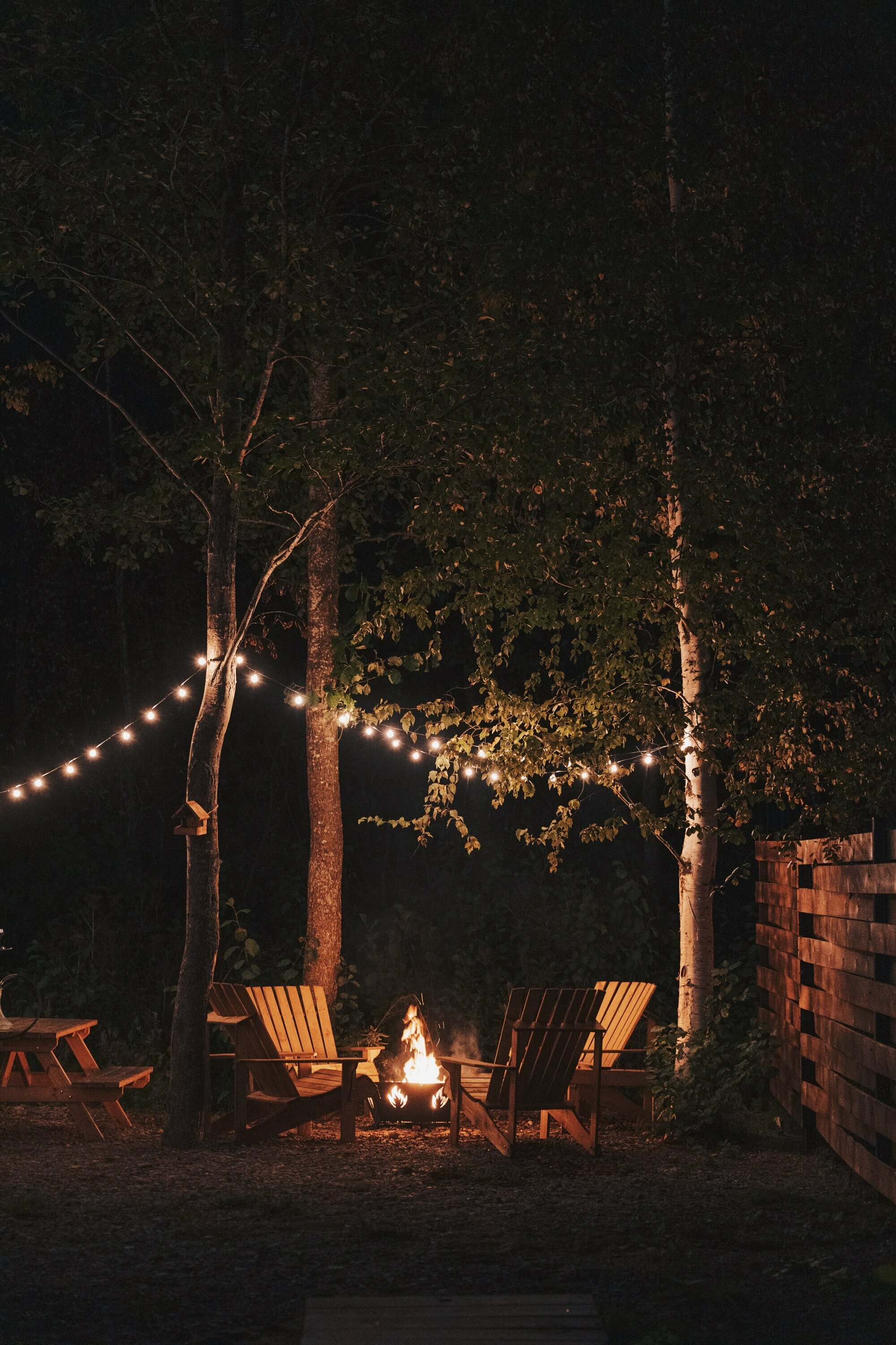 Коттедж с видом на лес