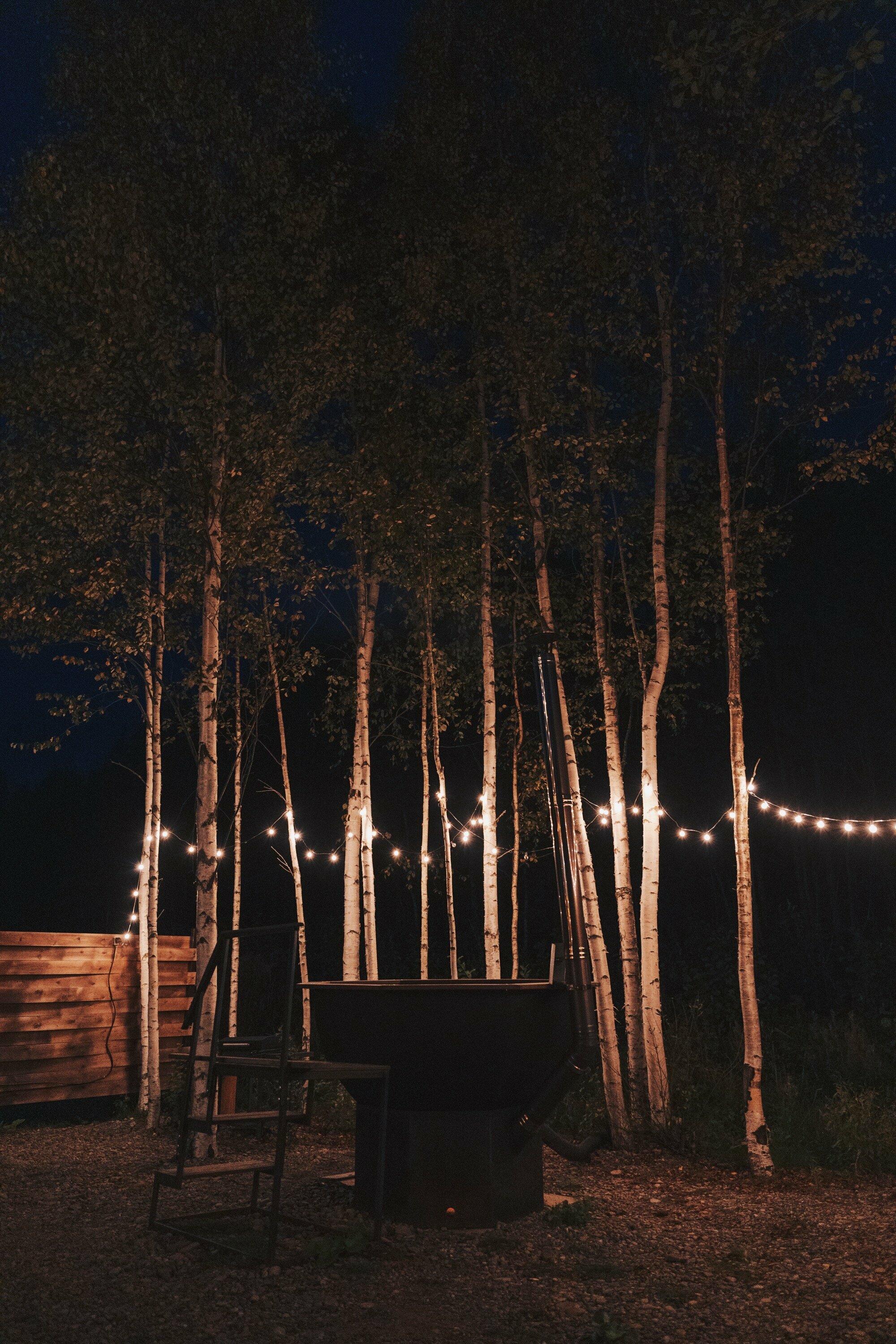 Коттедж с видом на лес