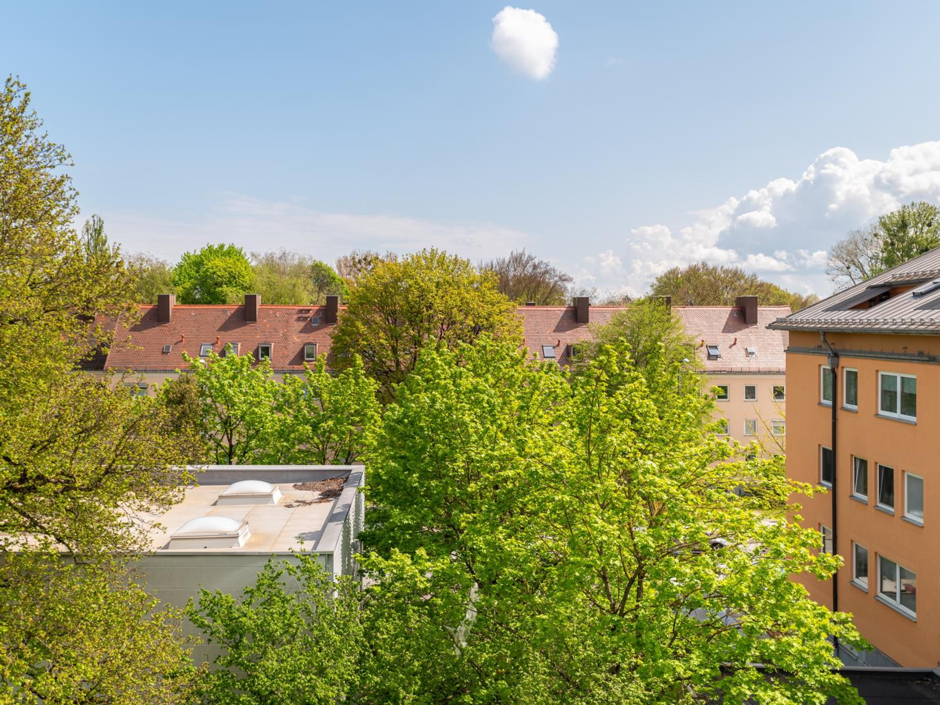 Extra Large Studio with Kitchenette and Sofa Bed - Duplex