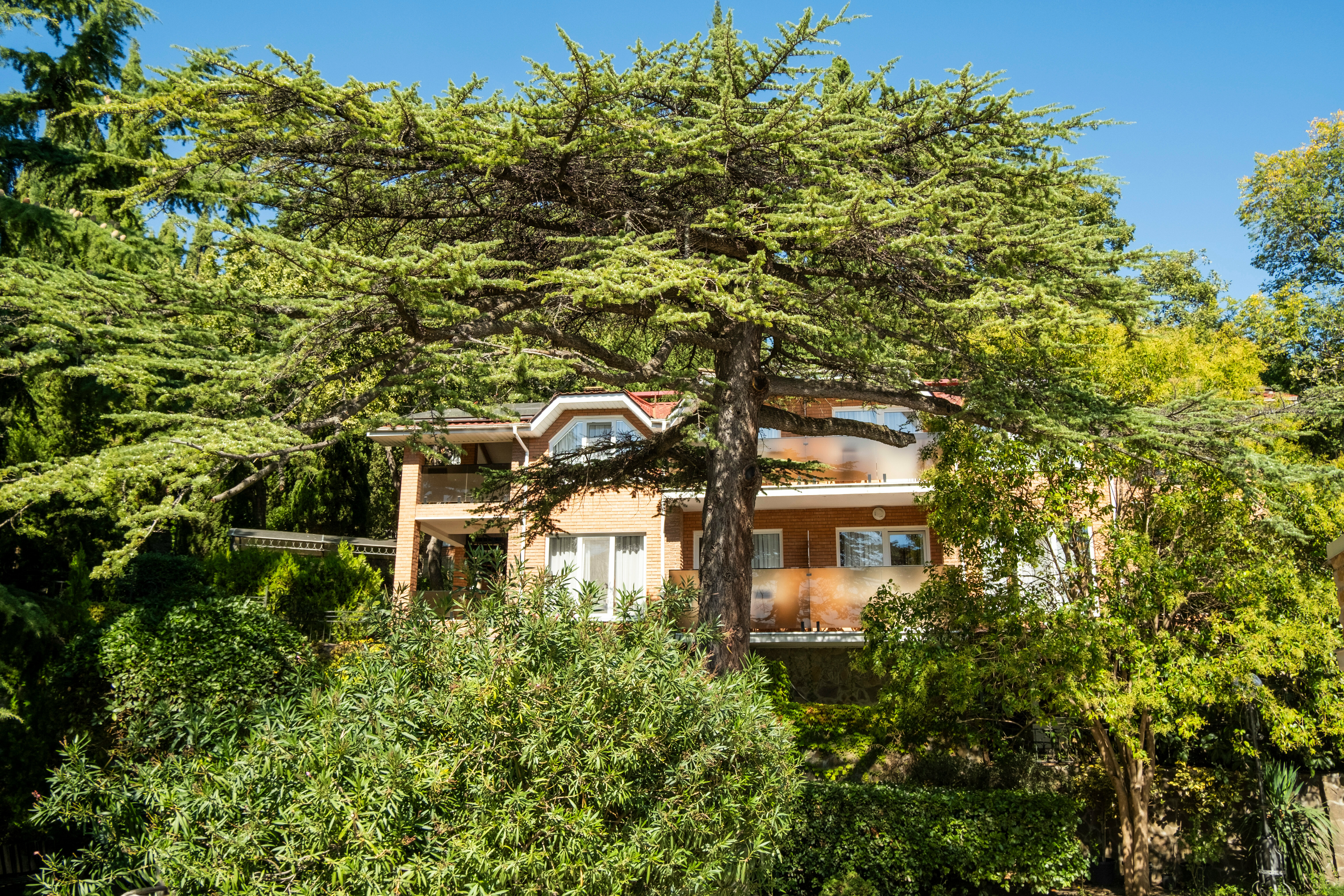 Люкс с кухней 2-х комнатный