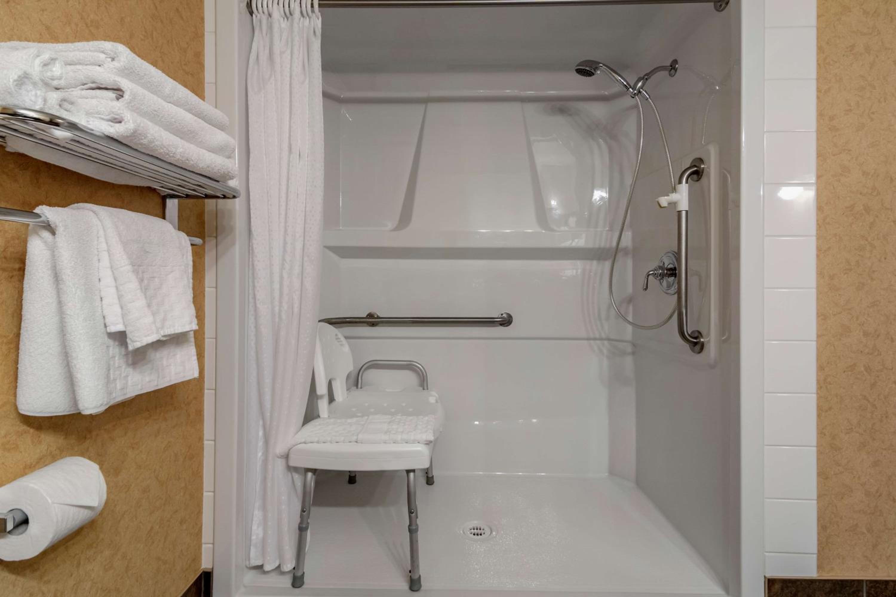 King Room with Mobility Accessible Roll-In Shower and Sofa Bed