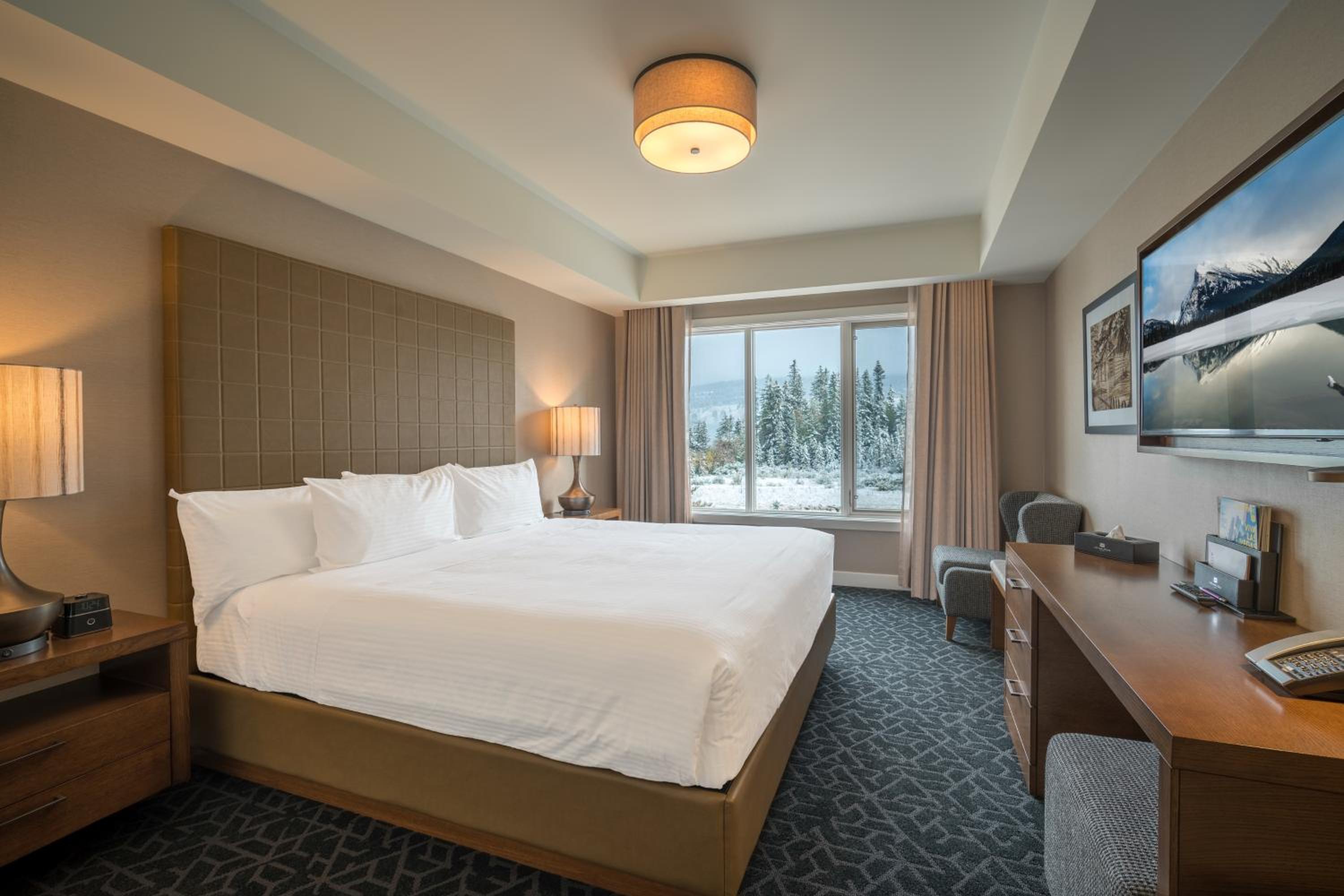 Standard King Room