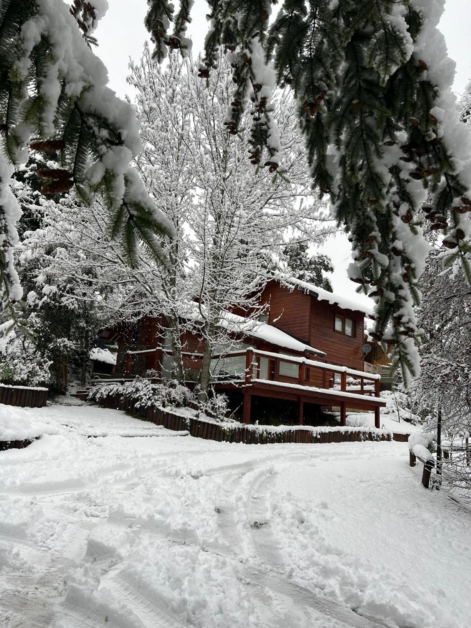 Deluxe Bungalow with Garden View