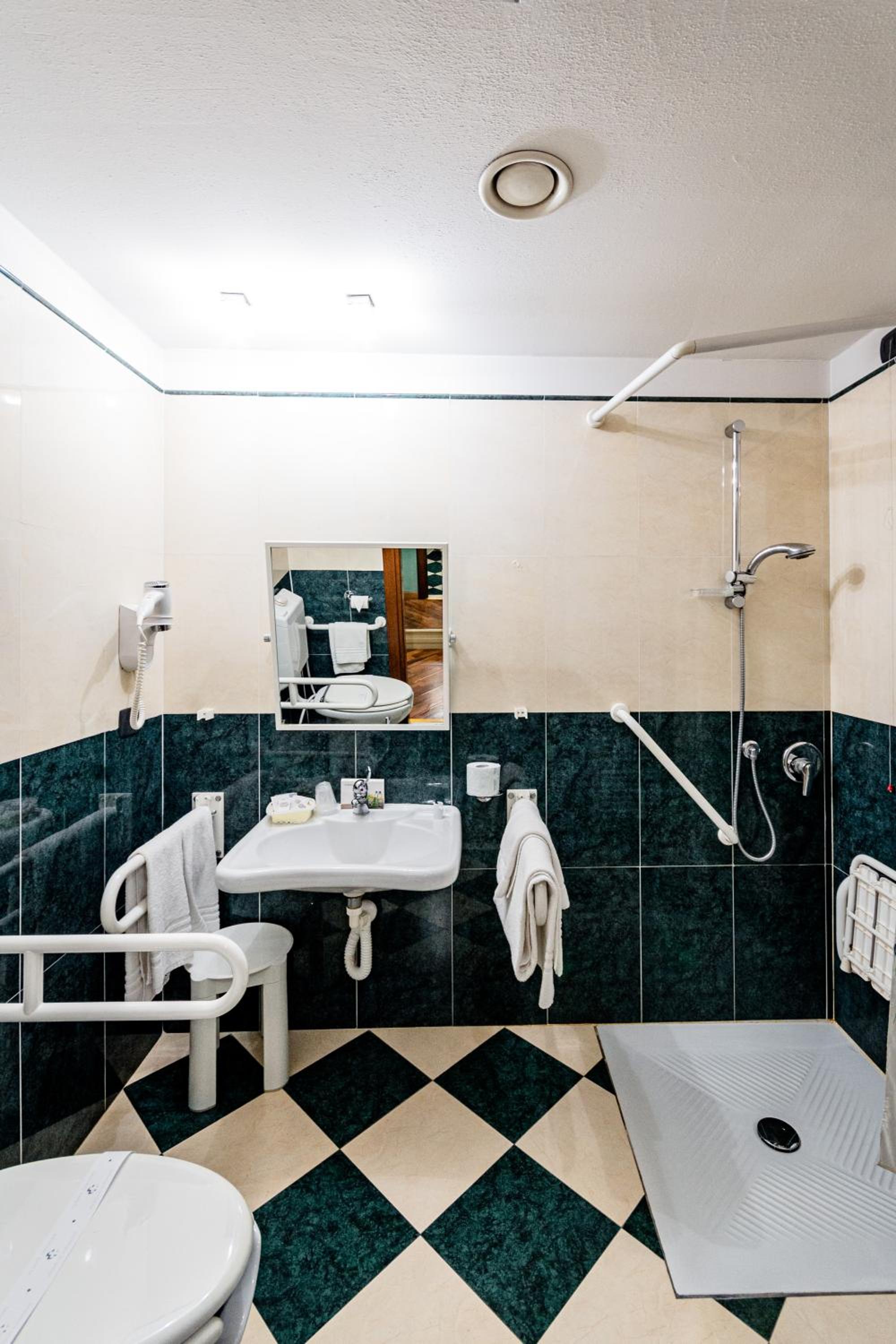 King Room with Roll-In Shower - Disability Access