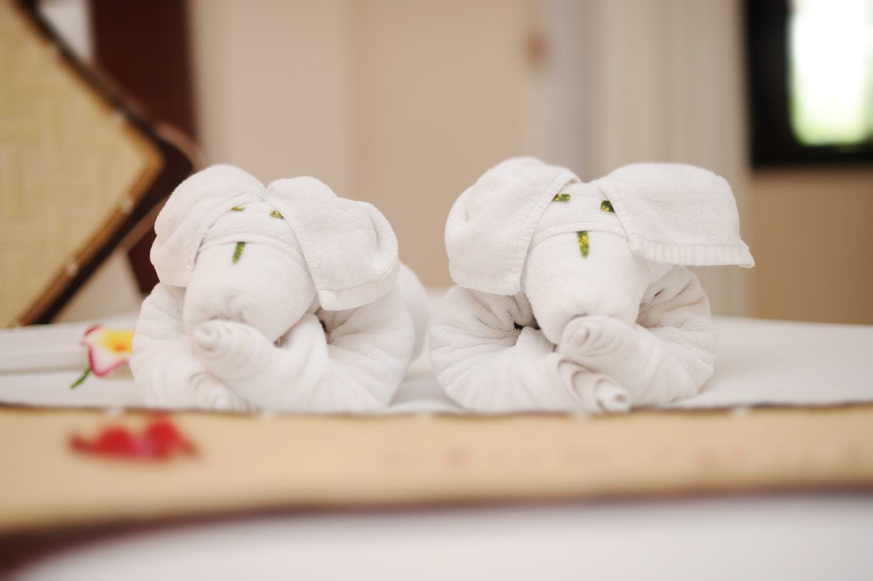 Superior Double Room with Garden View