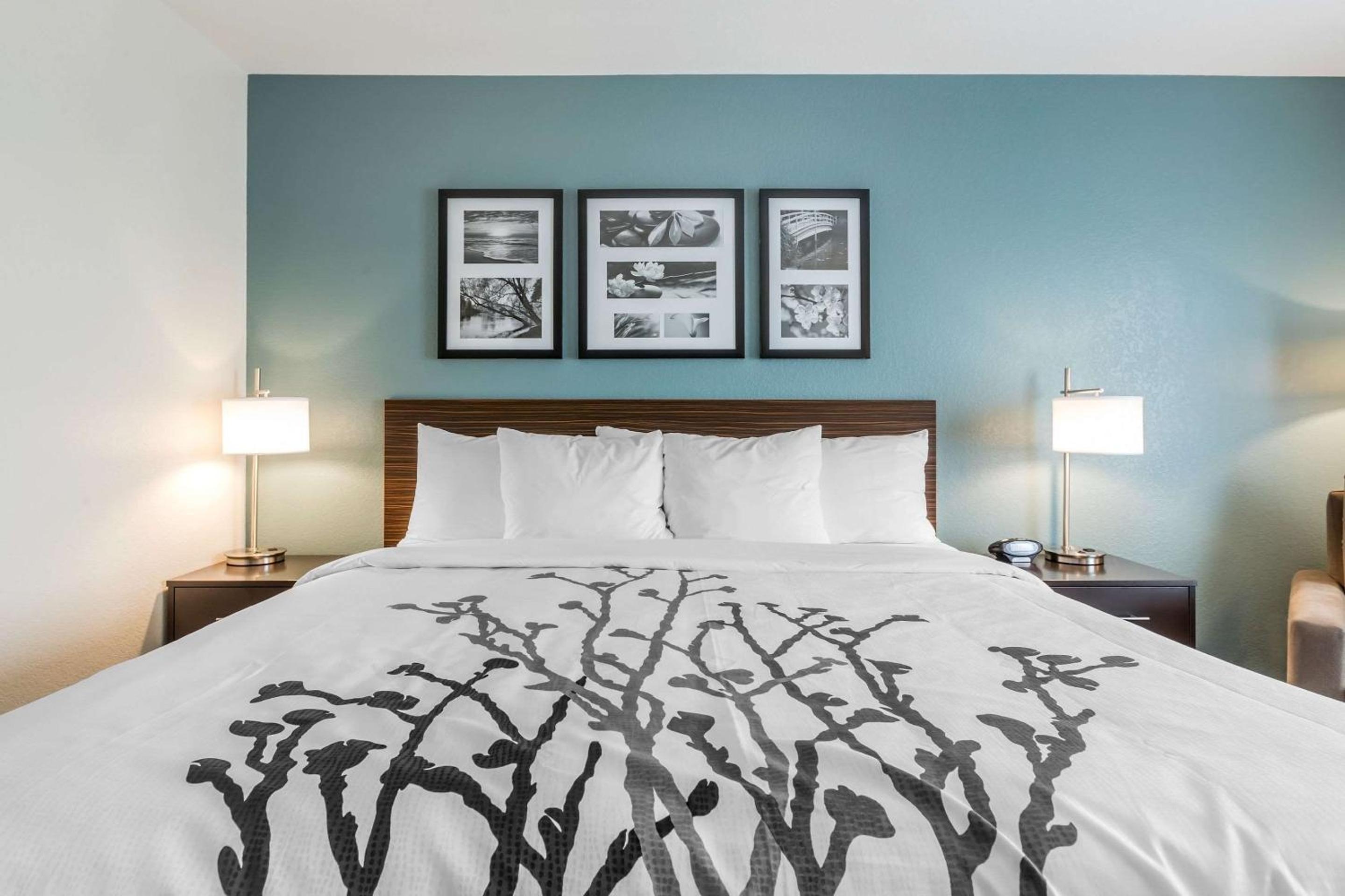 King Suite - Accessible/Non-Smoking