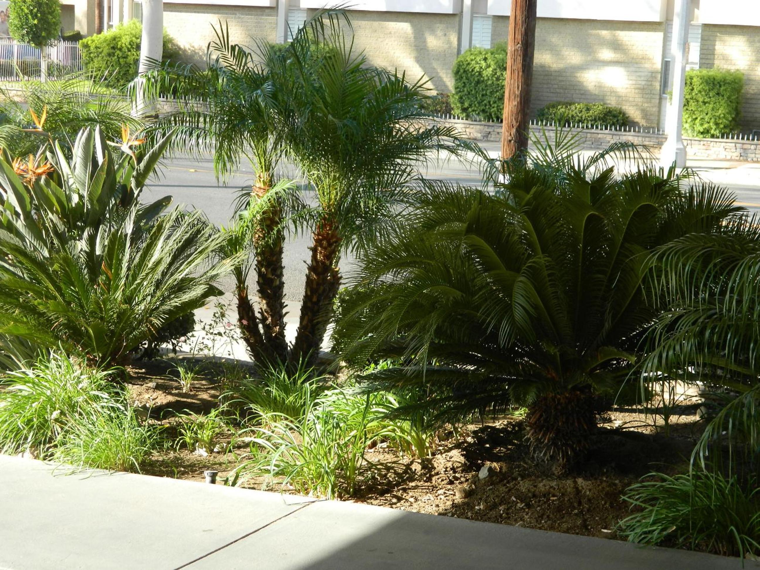 King Room - Disability Access