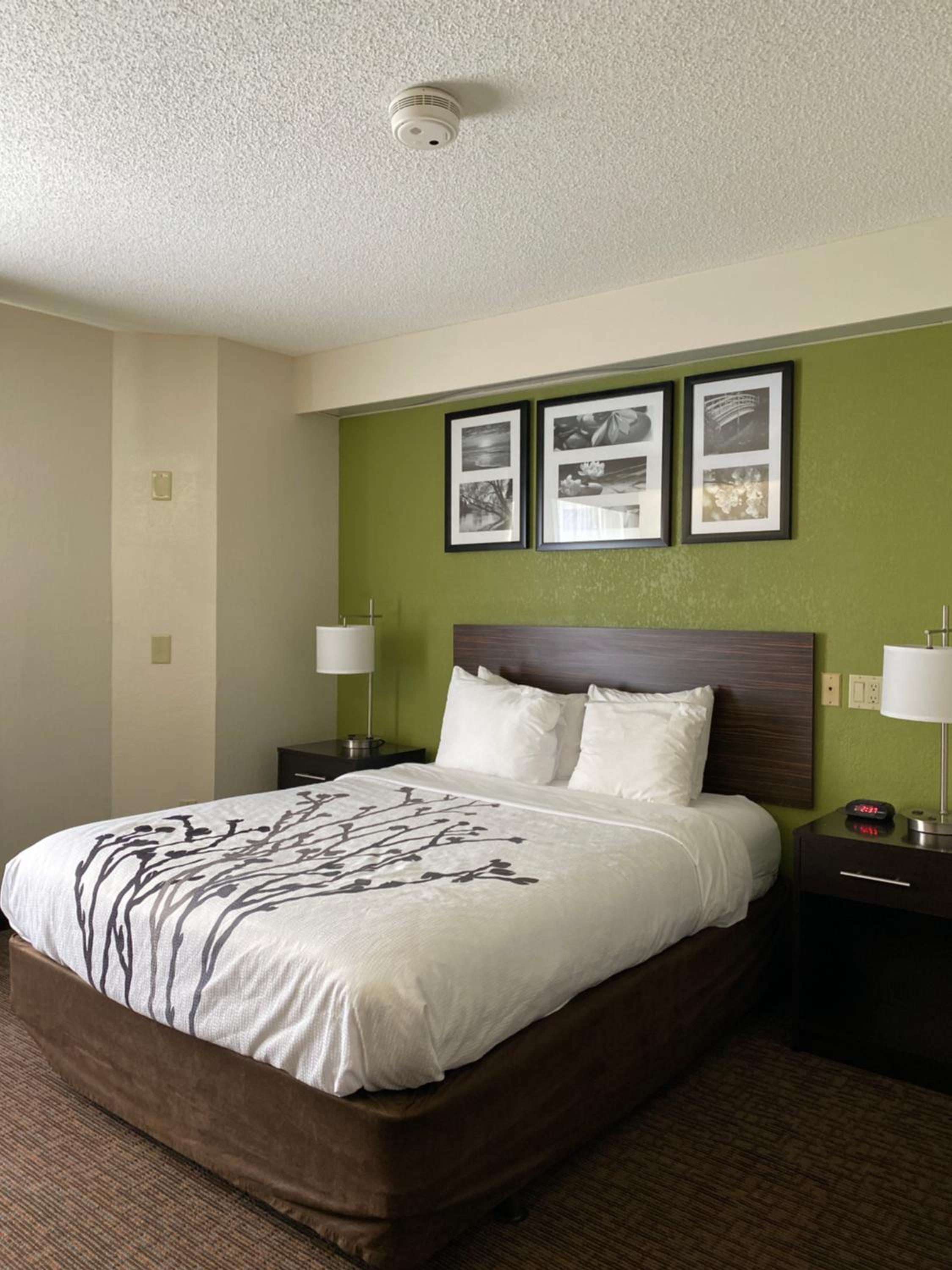 Queen Room - Accessible/Non-Smoking