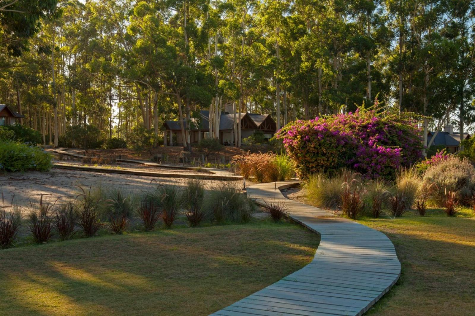 Forest Bungalow with one king bed