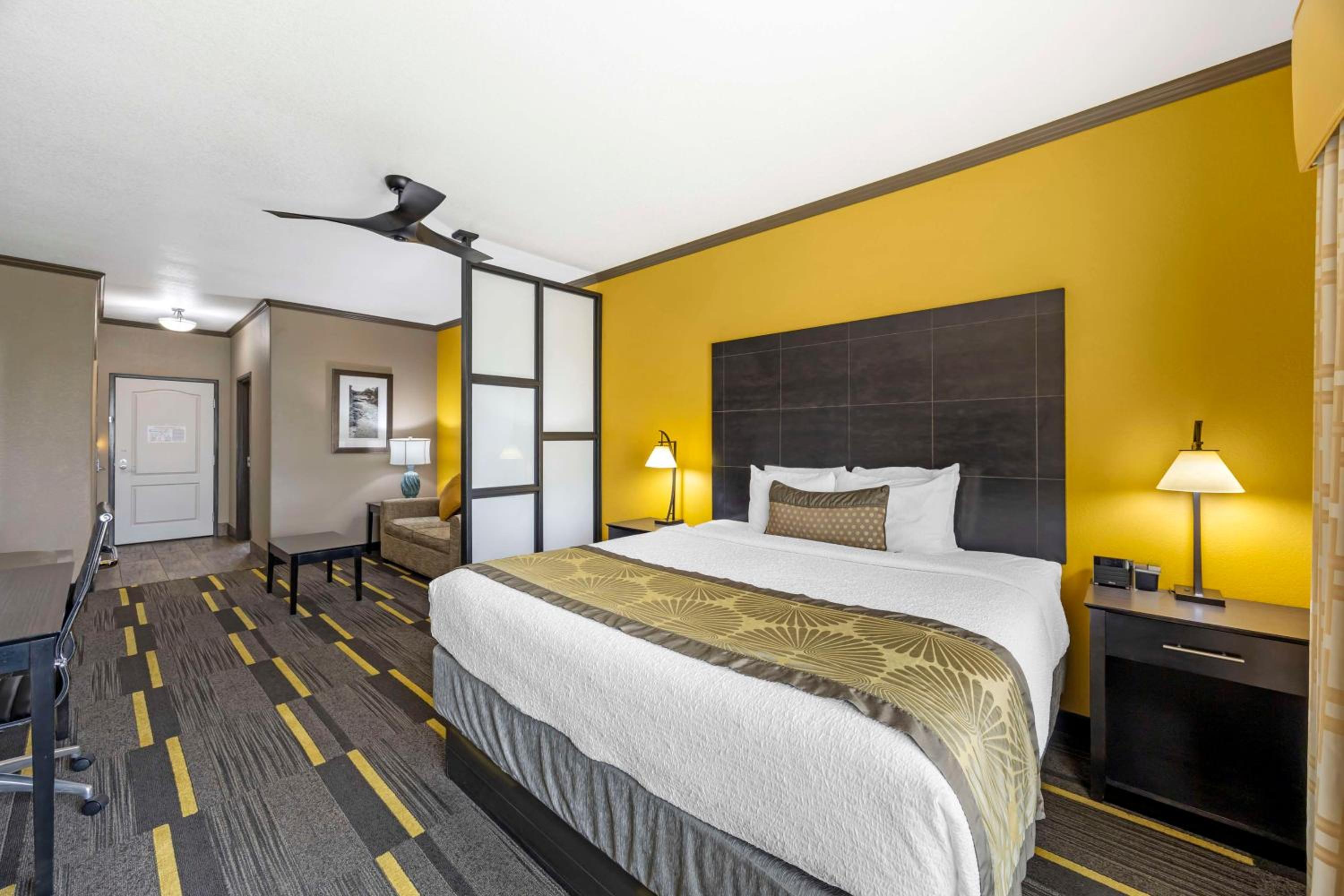 King Suite with One King Bed and Sofa Bed - Non-Smoking