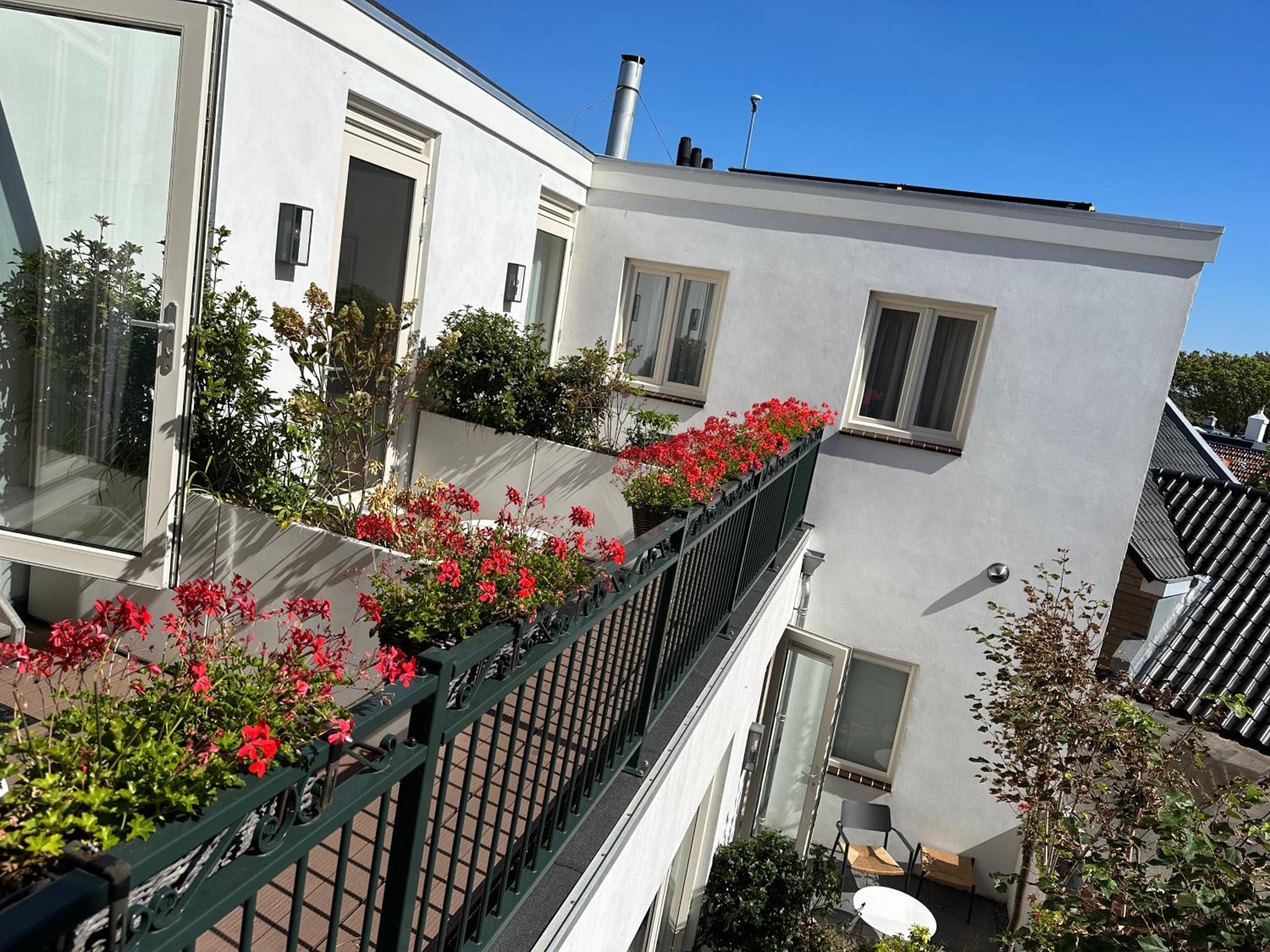 Suite with Terrace