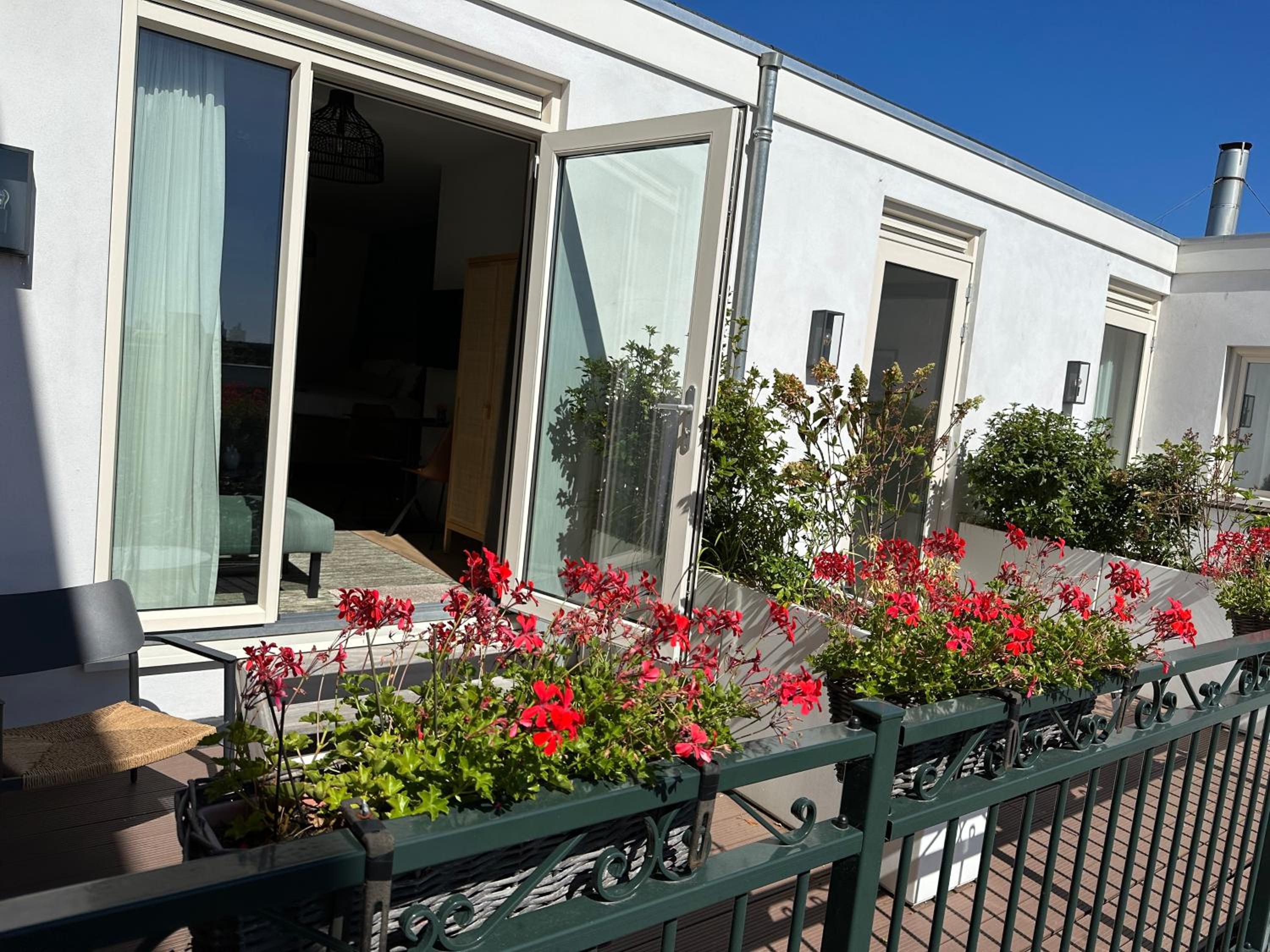 Suite with Terrace