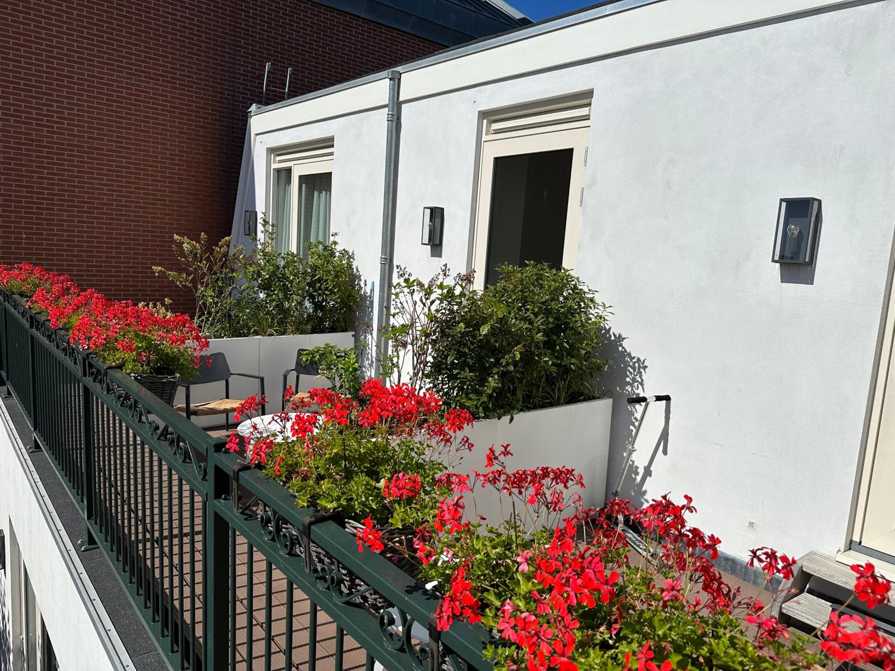 Suite with Terrace