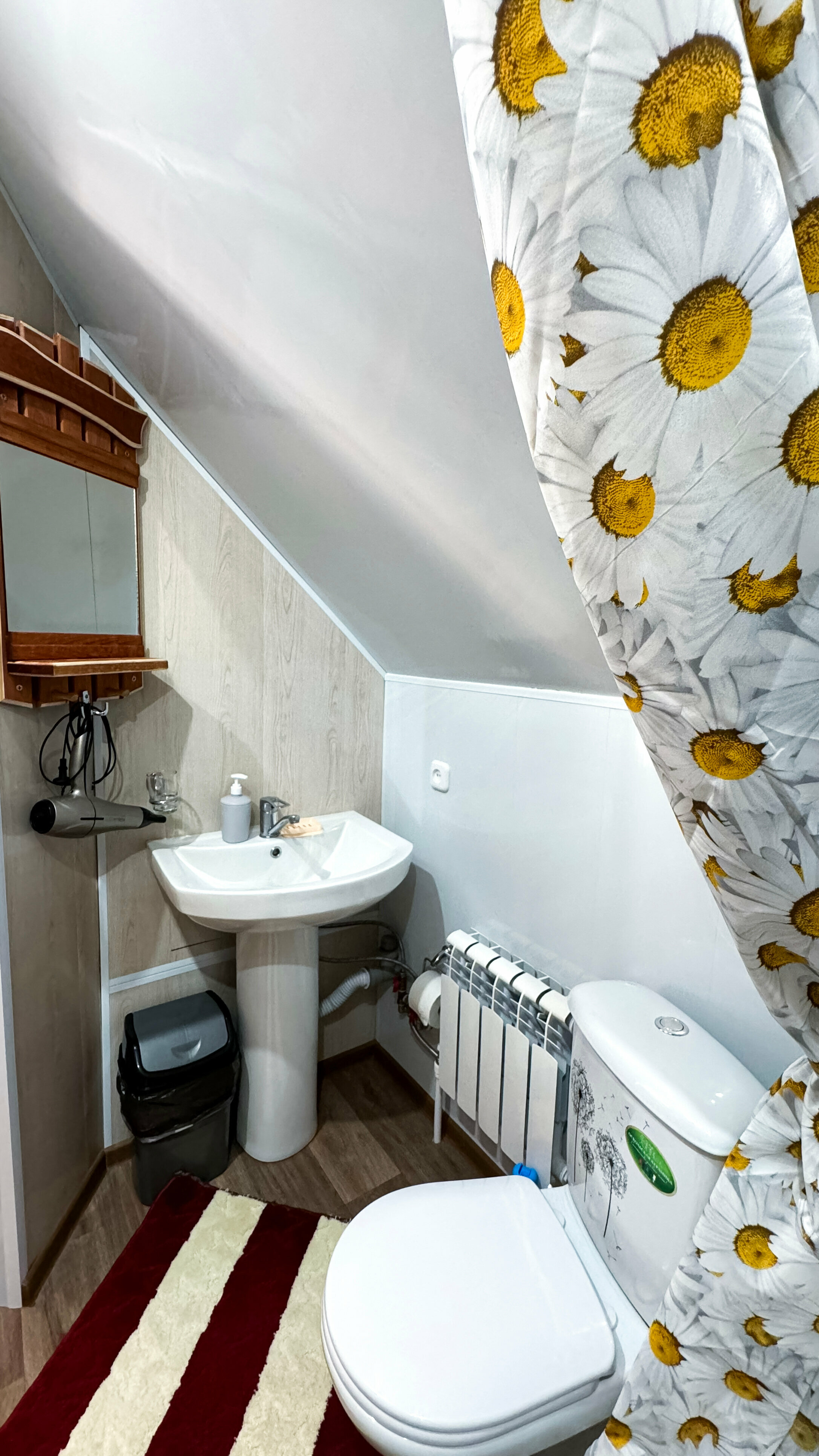 Двухместный номер с 1 кроватью и балконом