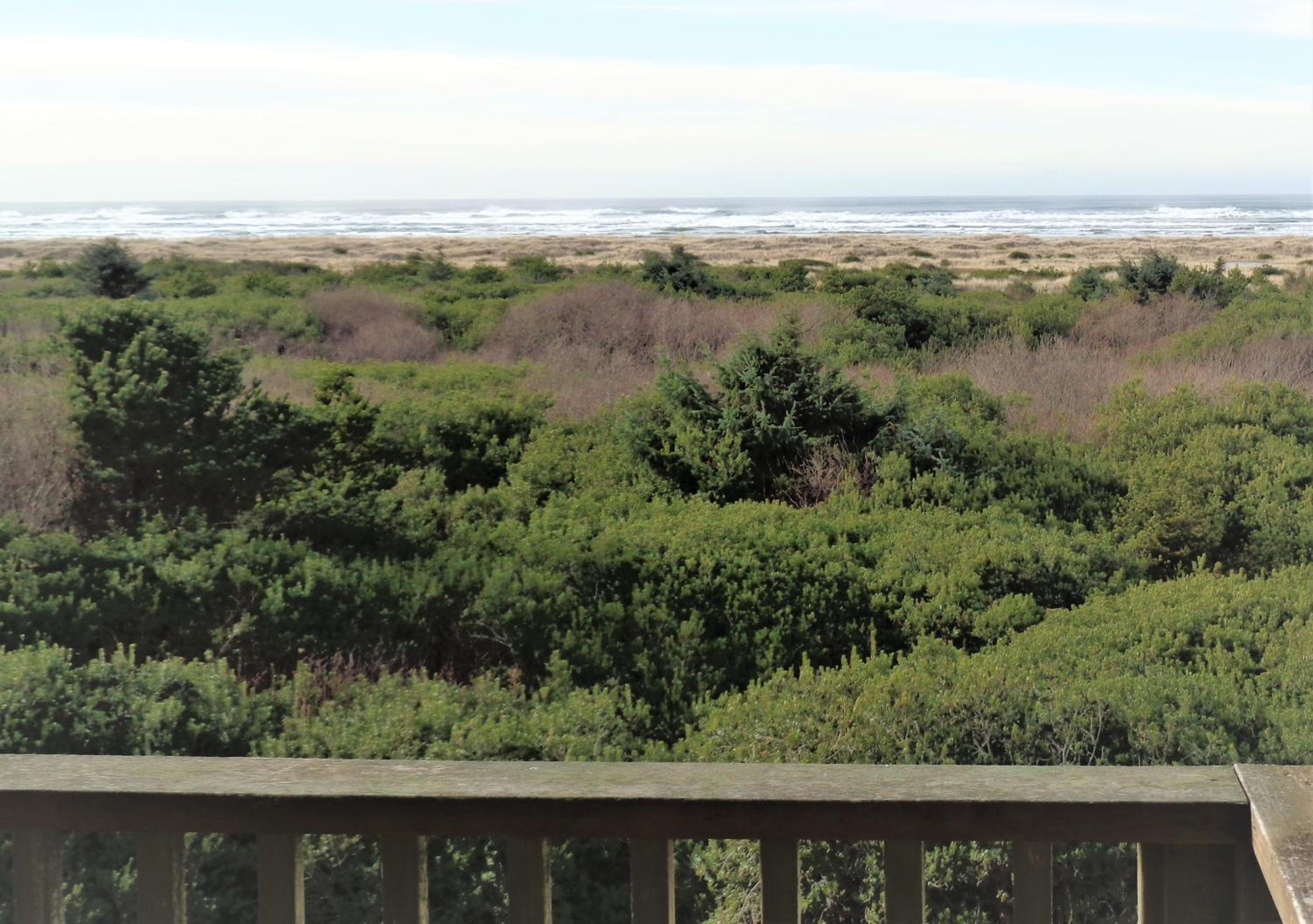 1 Bedroom, 1 King, View, No Pets