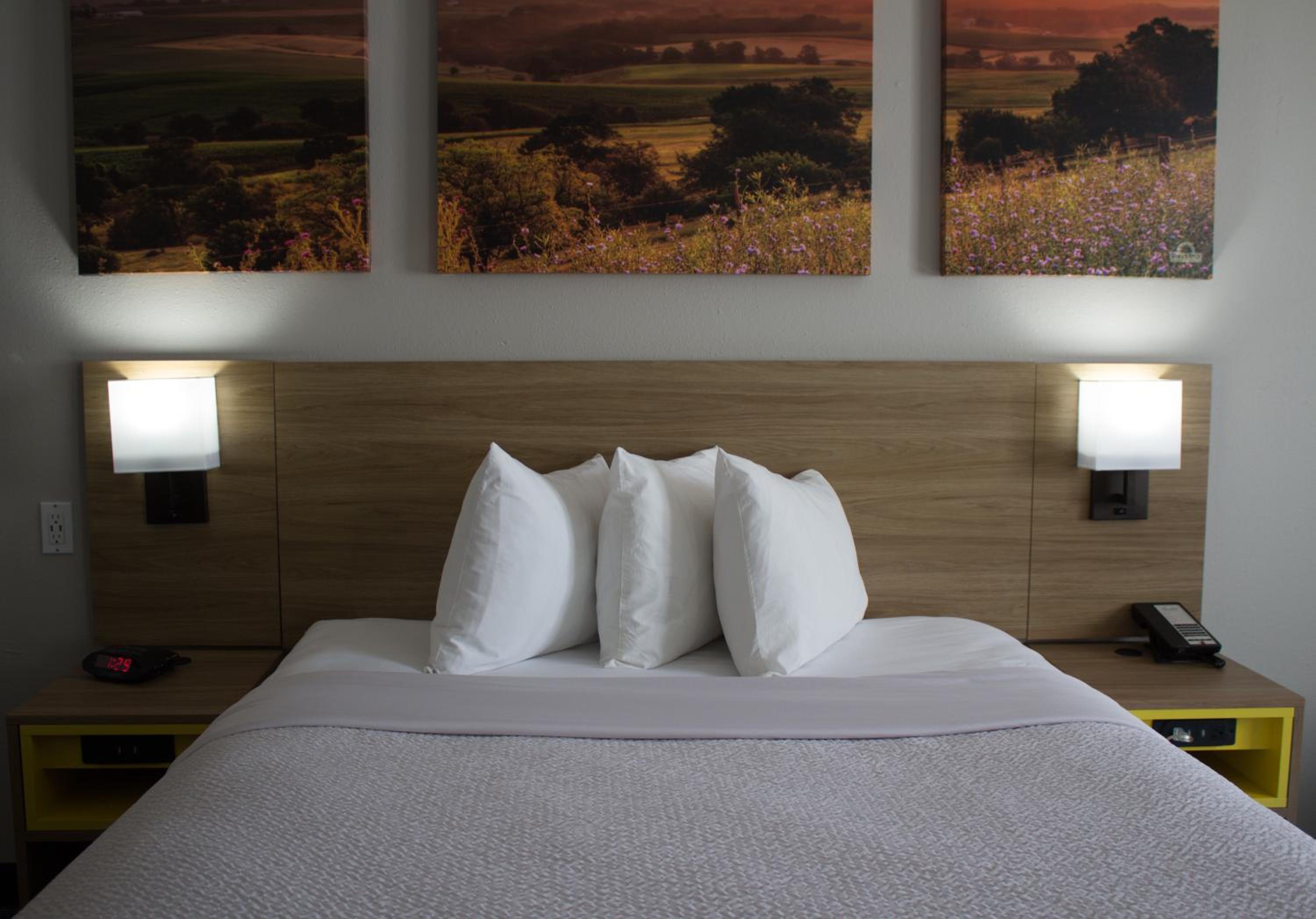 King Room - Pet Friendly/Non-Smoking