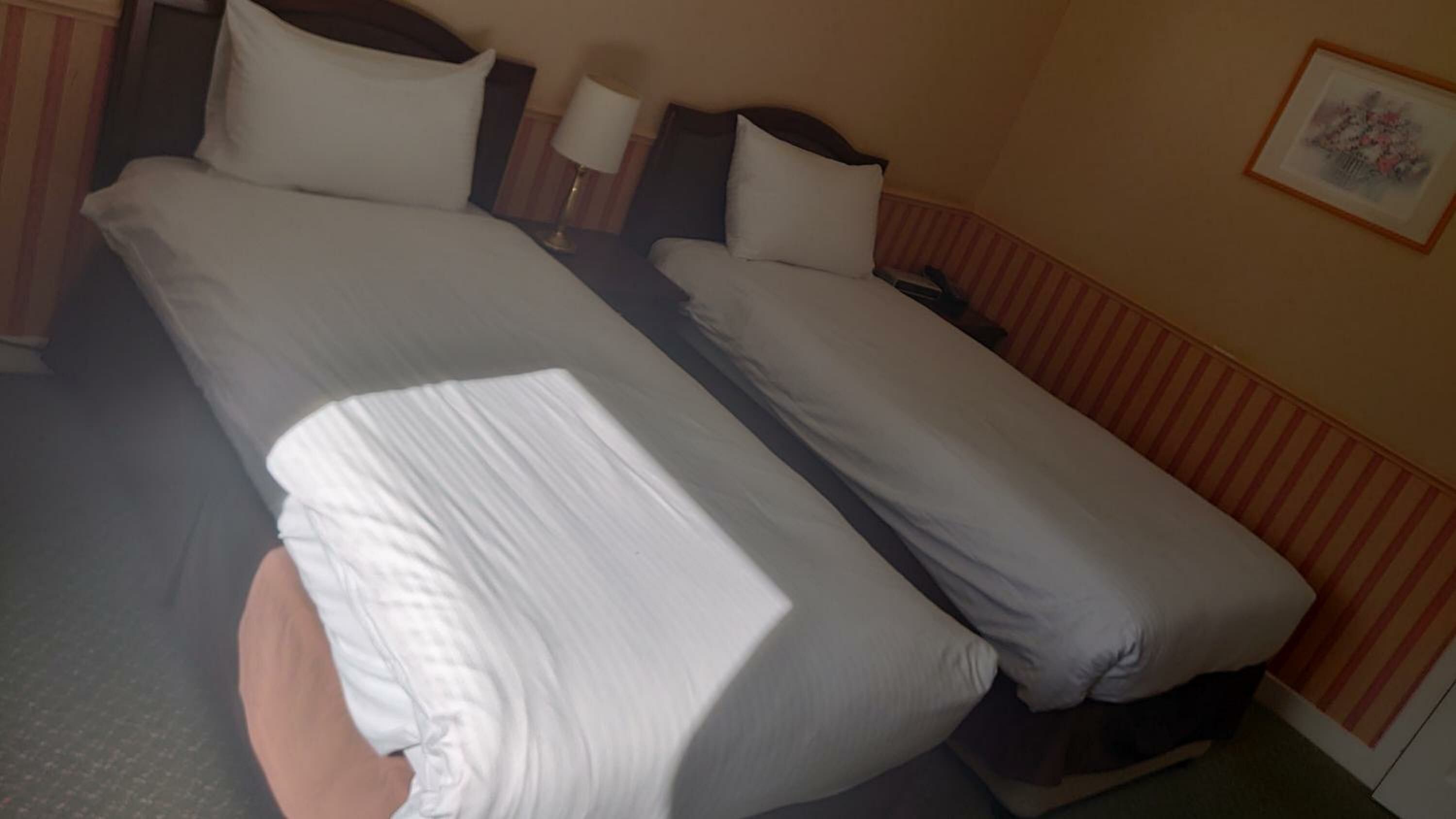 Twin Room with Private Bathroom
