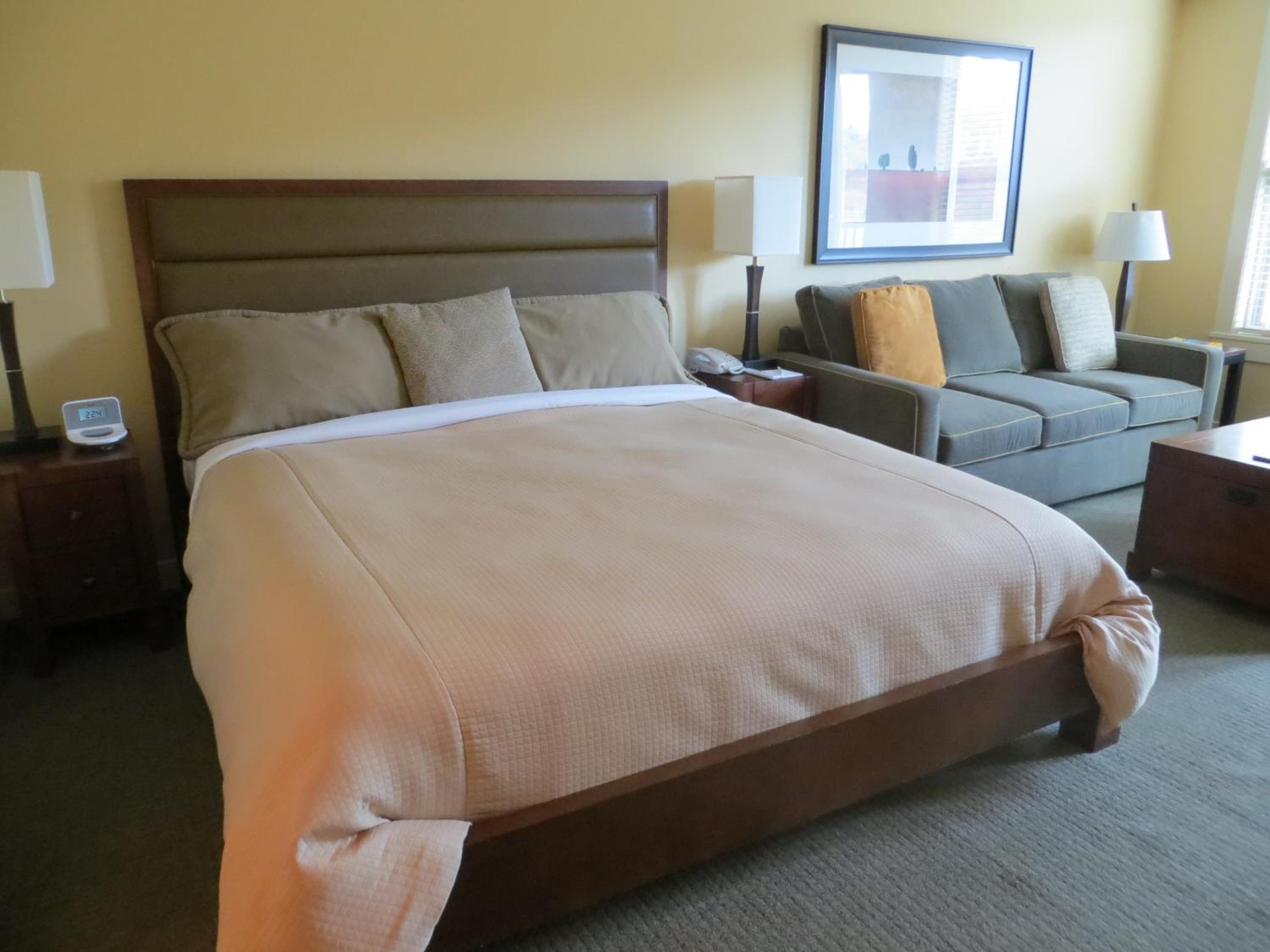 Studio Suite with Mountain View