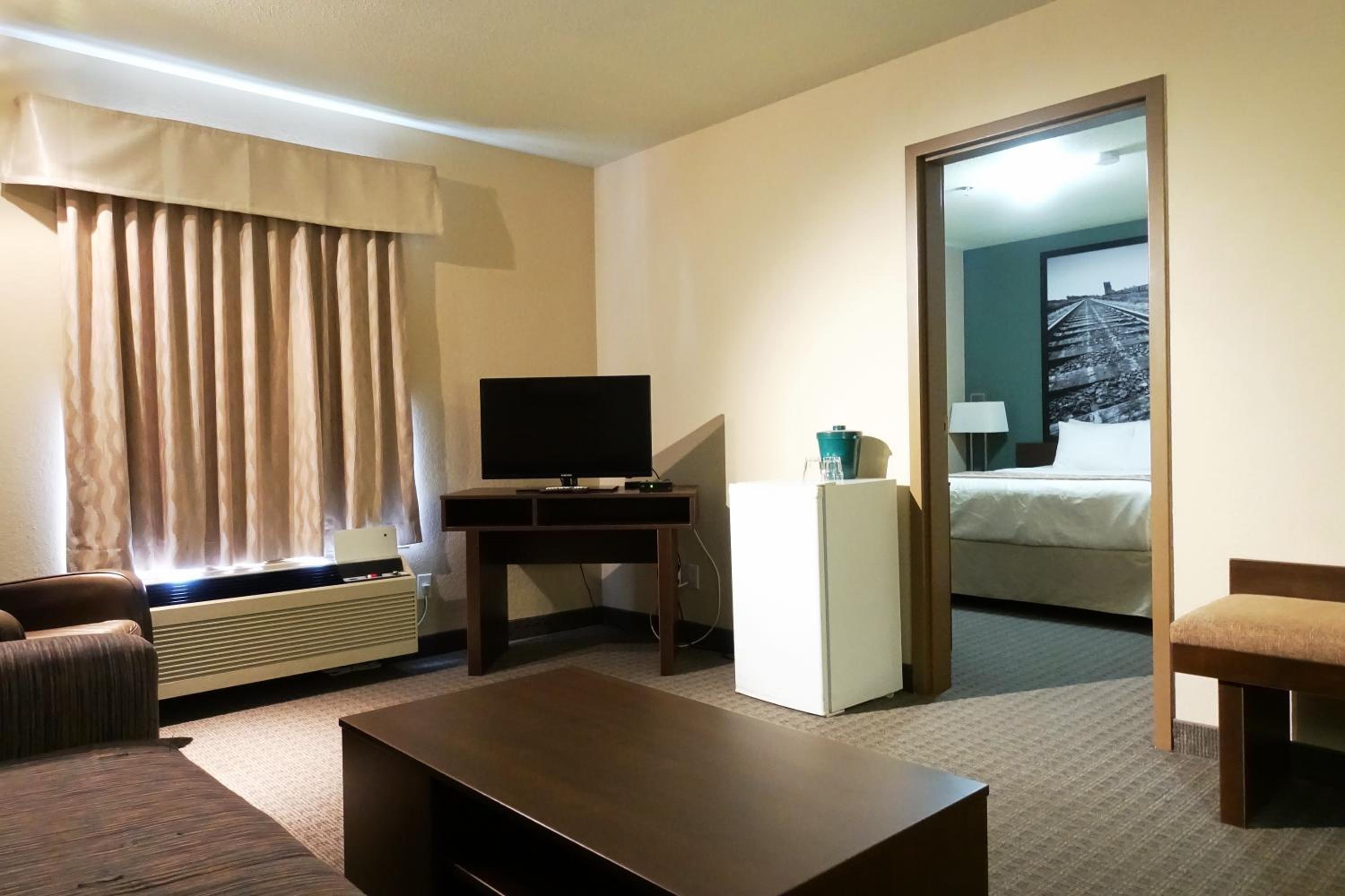 One-Bedroom King Suite - Non-Smoking