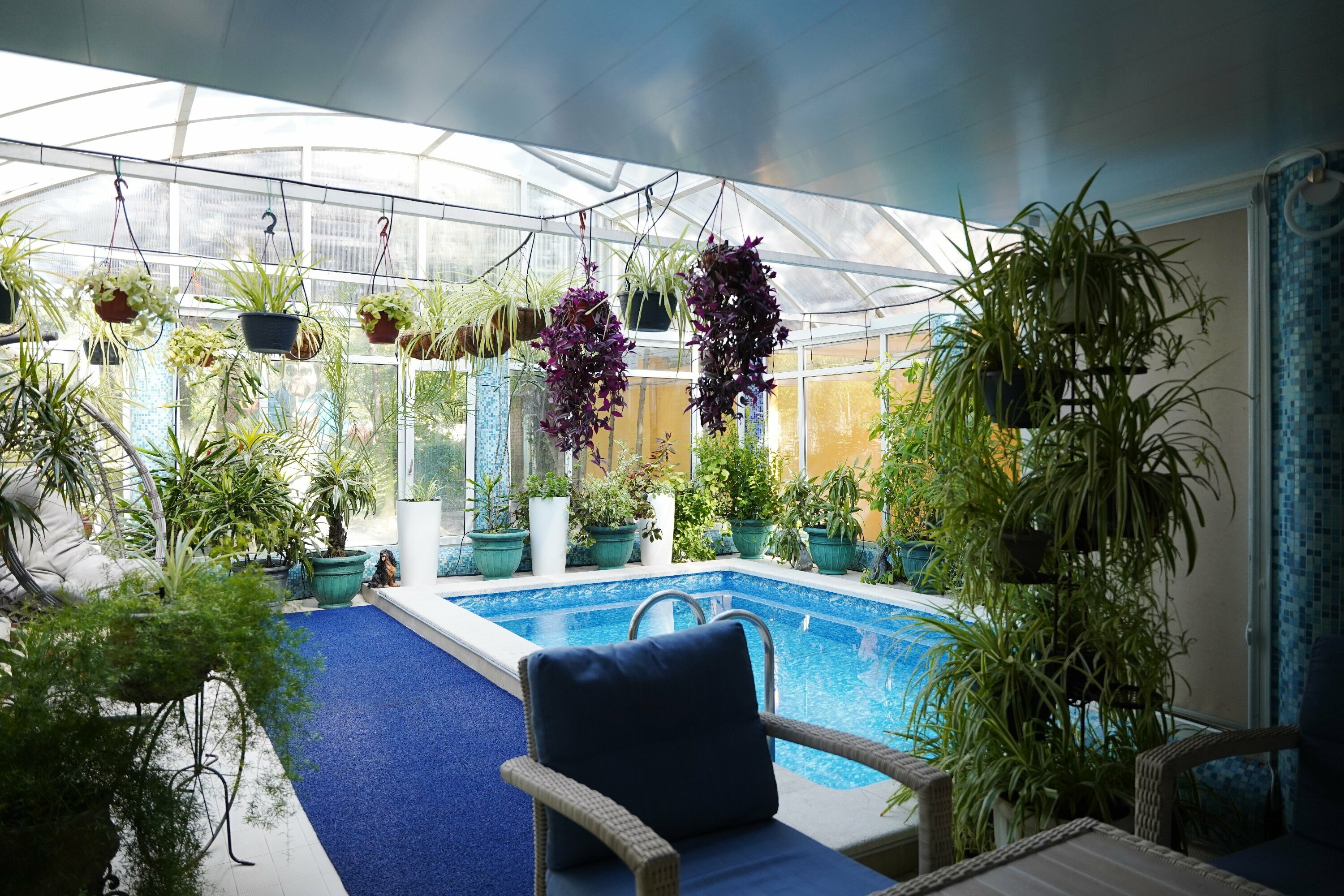 Люкс с бассейном