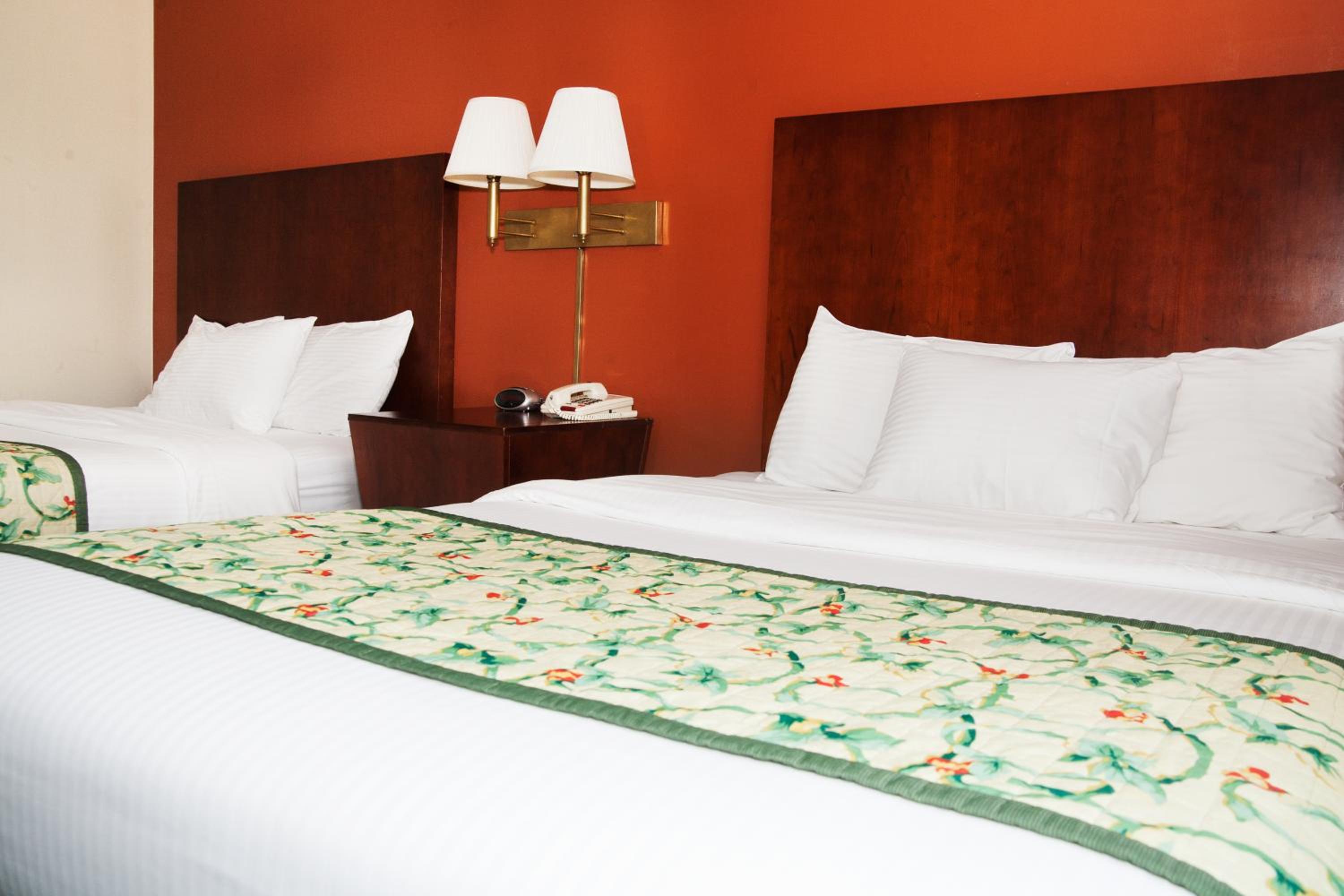 Scenic View Room 2 Queen Beds