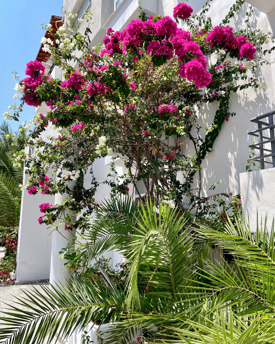 Апартаменты с 3 спальнями