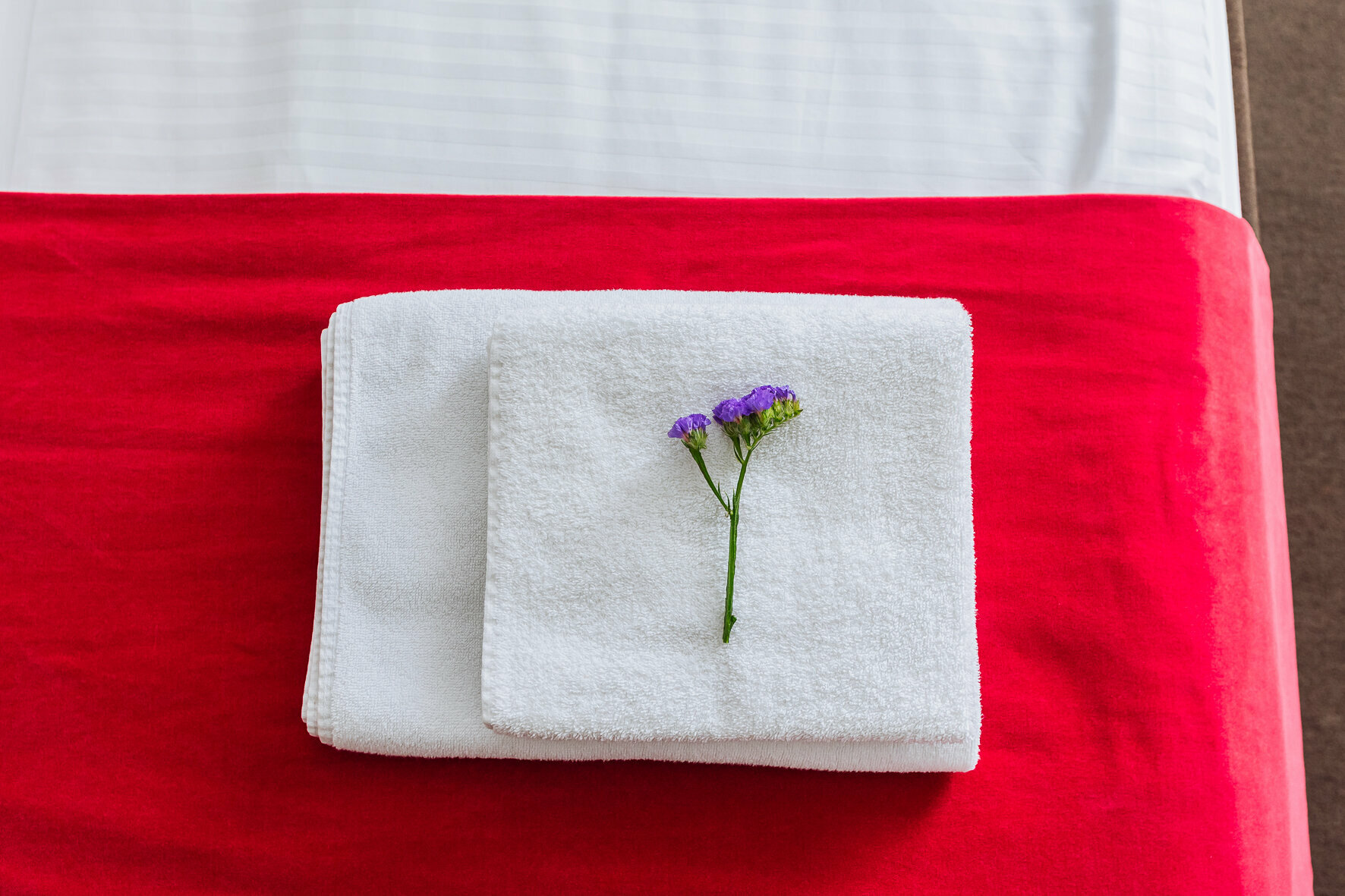 Двухместный номер эконом-класса с 1 кроватью