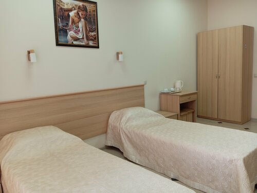 двухместный номер Стандарт с 2 односпальными кроватями