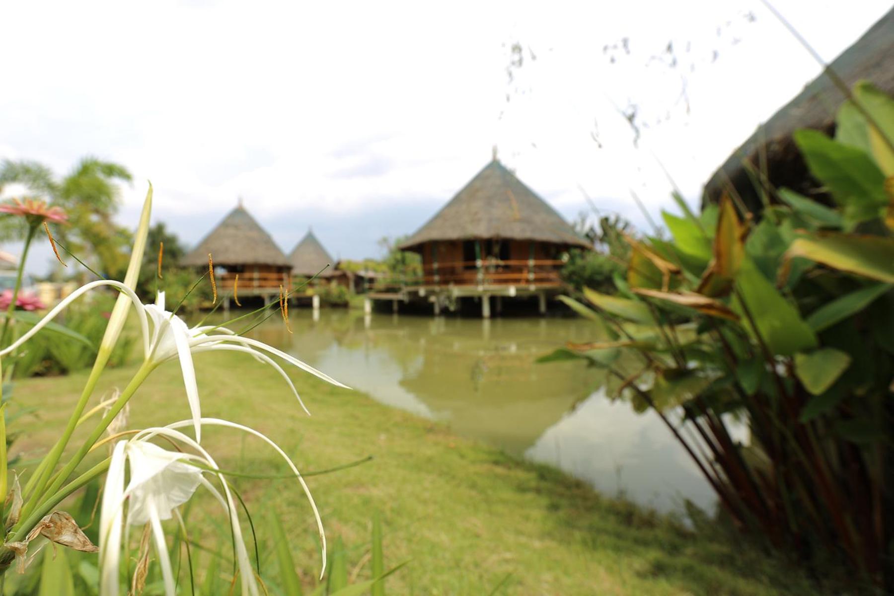 Deluxe Bungalow With Garden View