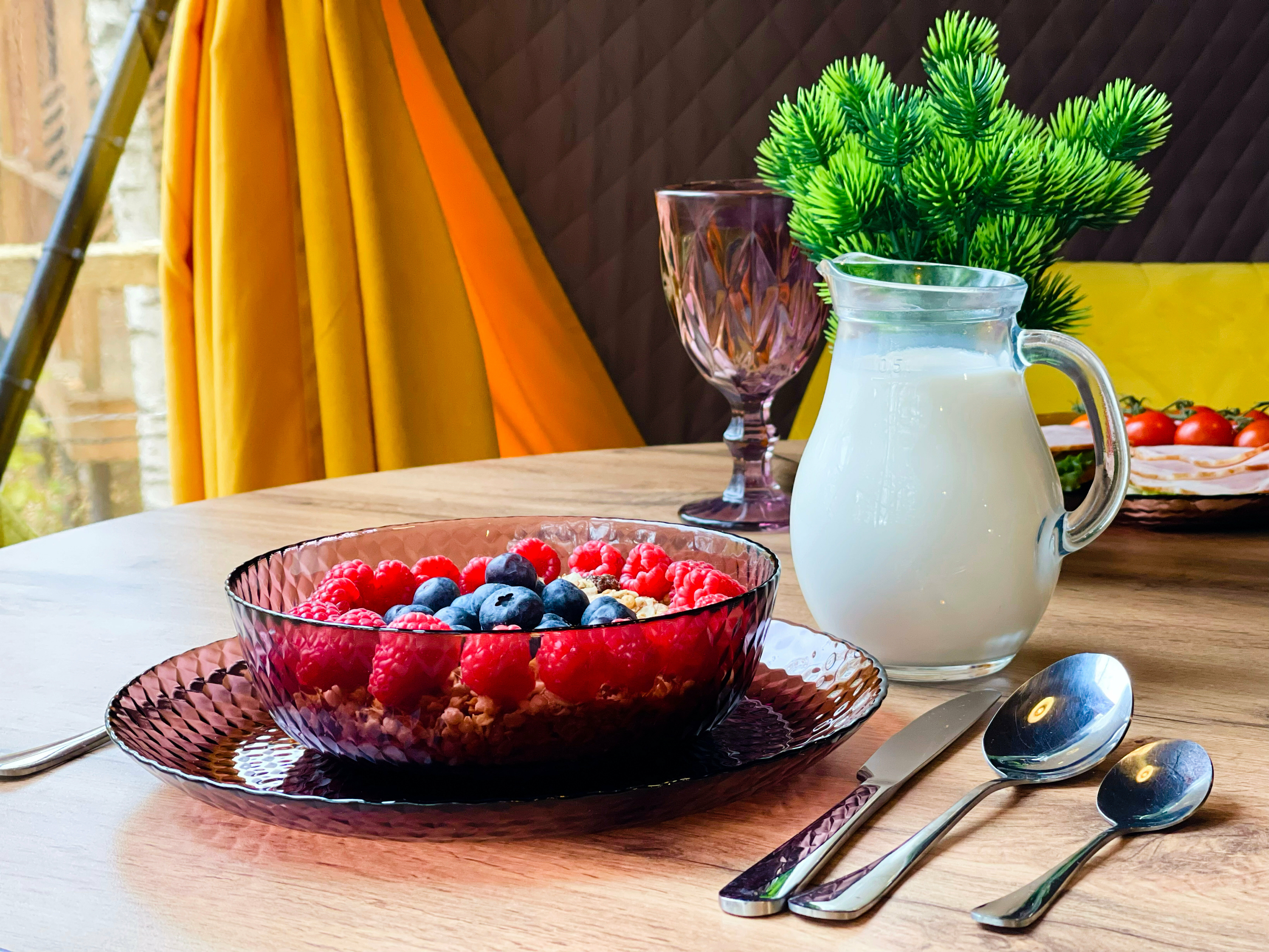 Купол «Карельский лес»