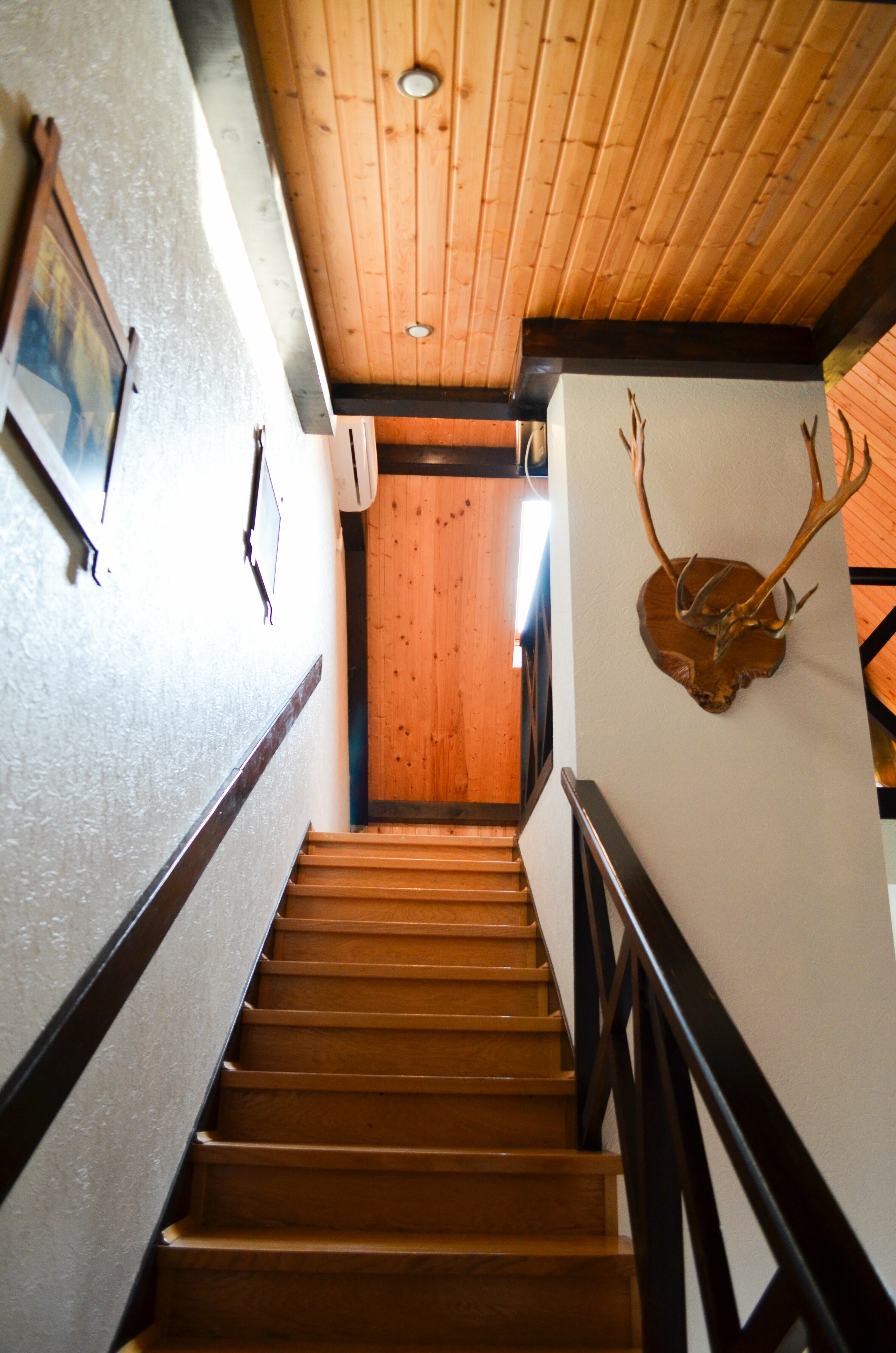 Двухуровневый люкс