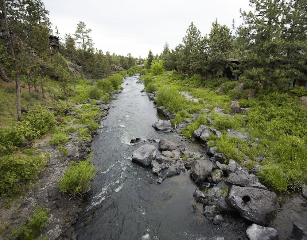 Room, 1 King Bed with Sofa bed, River View (Fire Pit)