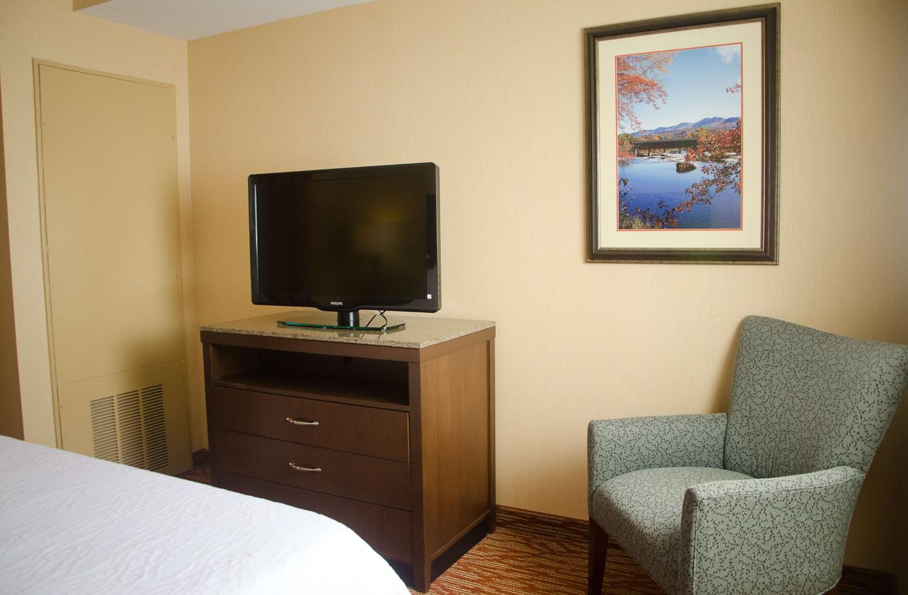 Junior King Suite with Sofa Bed