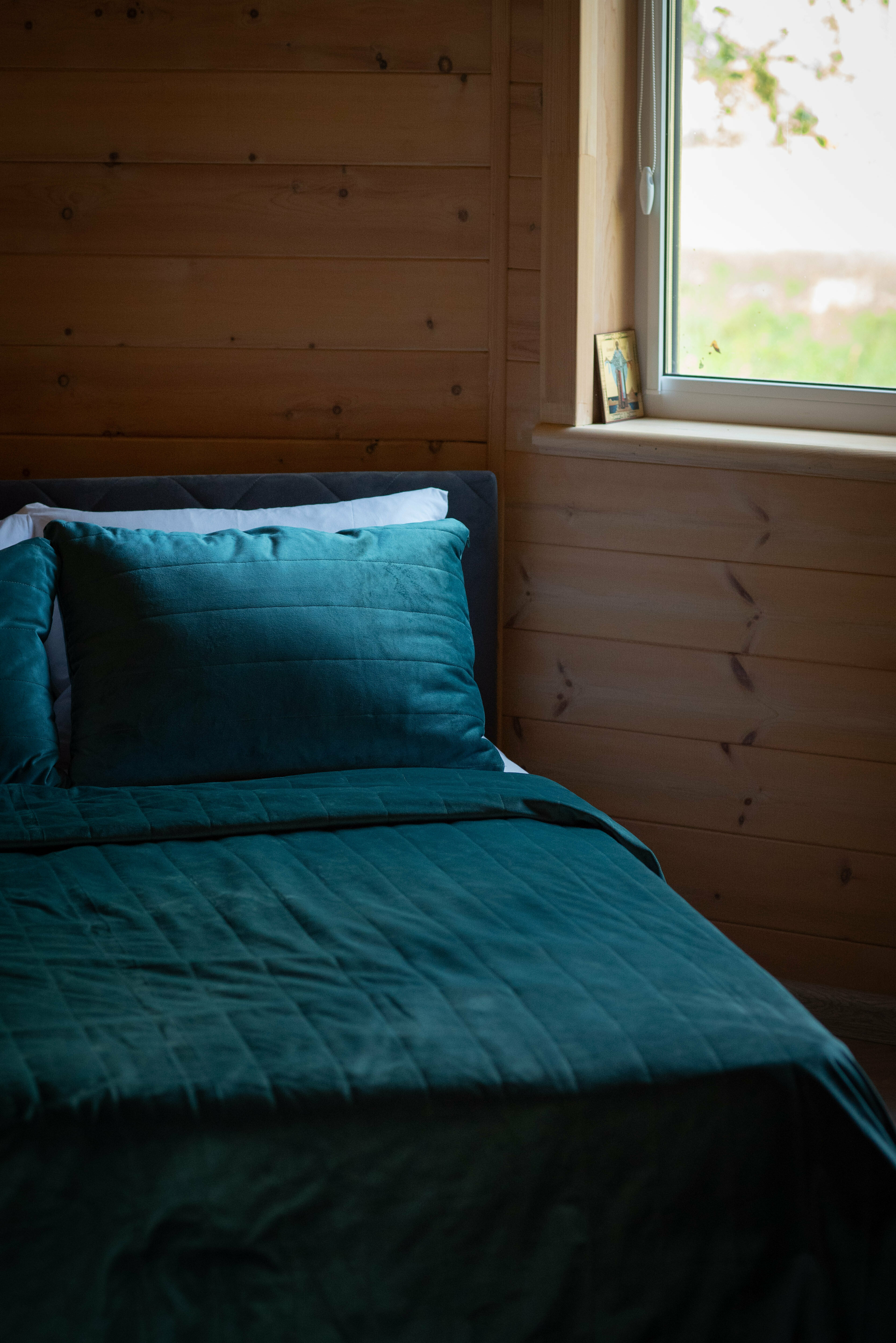 Дом с видом на лес