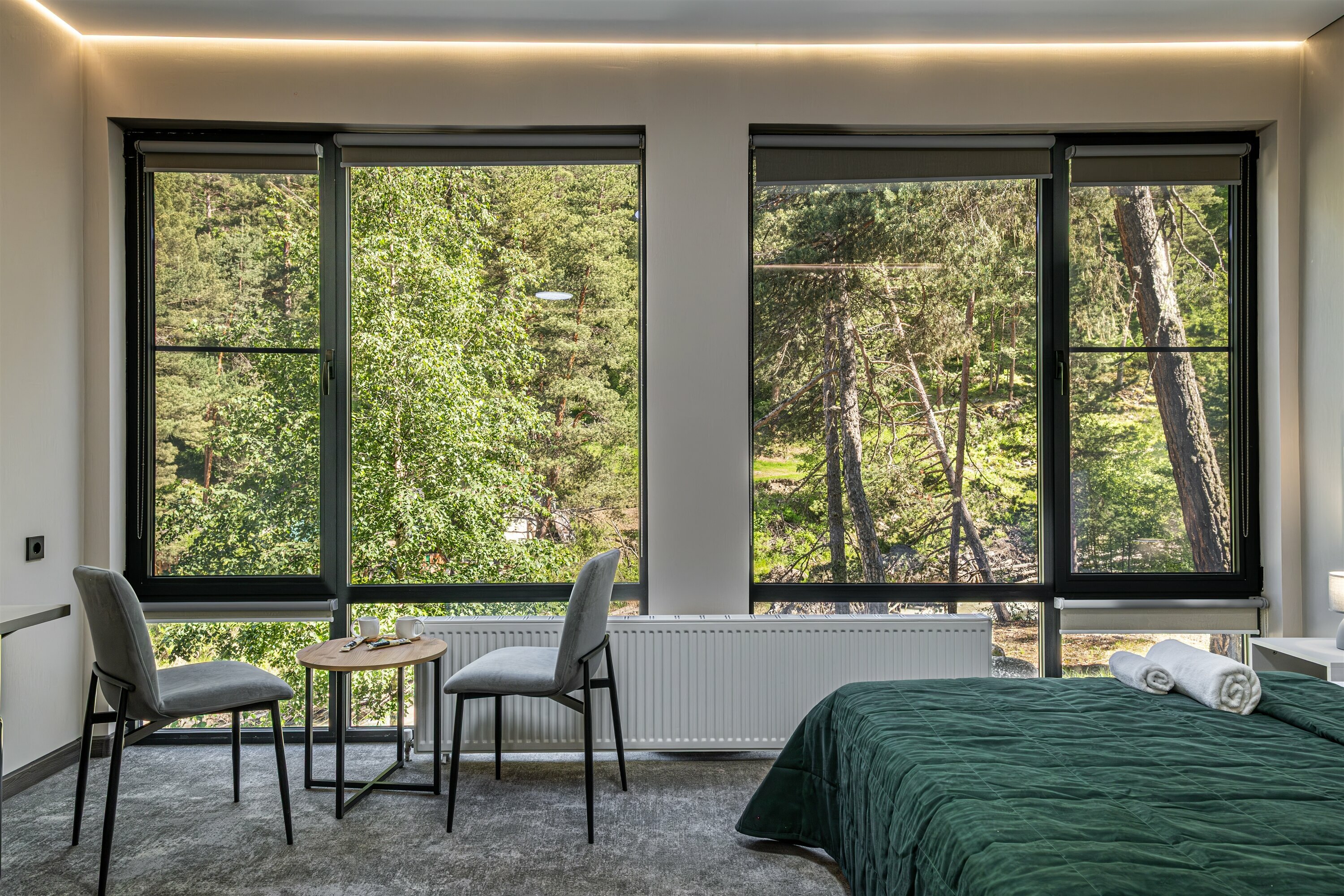 Двухместный номер Делюкс с 2 отдельными кроватями