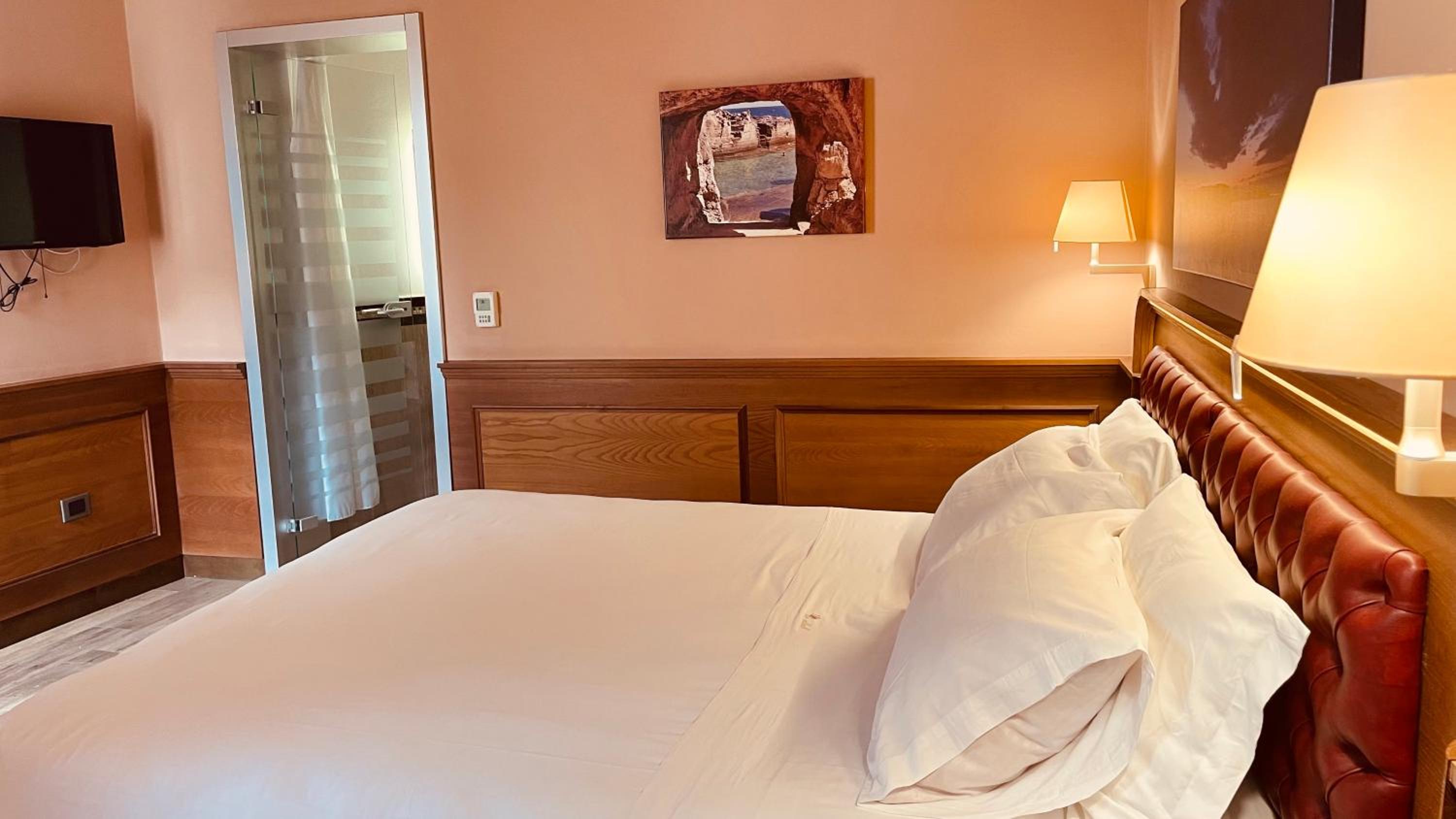 Executive Double or Twin Room