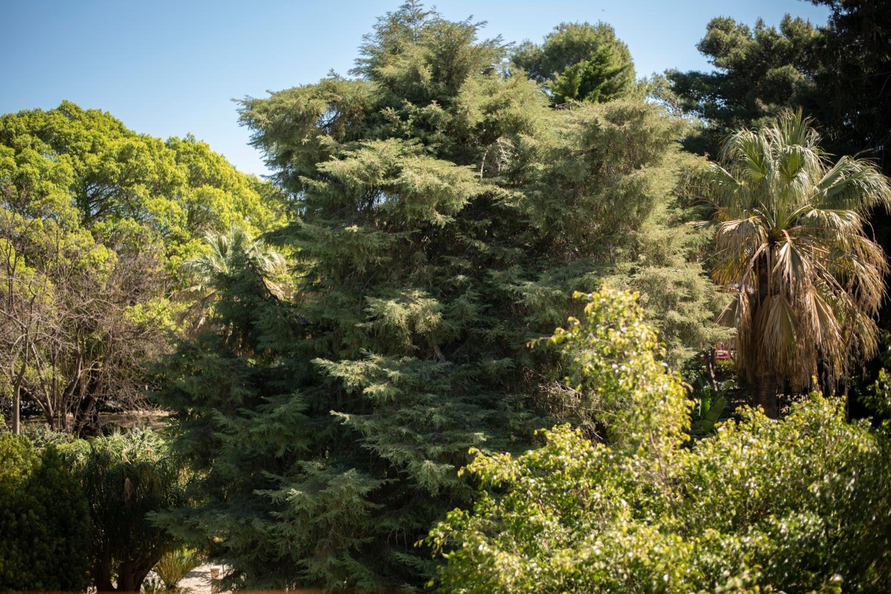 Double Room with Terrace